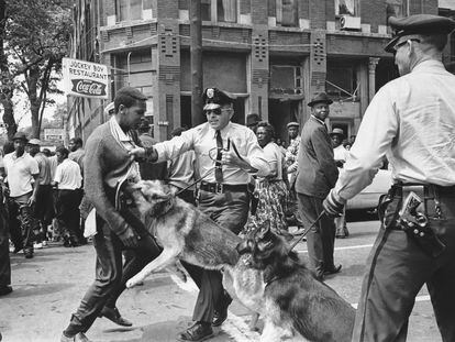FILE- African American high school student Walter Gadsden, 15, an onlooker to the protest, is attacked by a police dog during a civil rights demonstration in Birmingham, Ala., on May 3, 1963. For some, the scene of a trucker being attacked by a police dog on a rural Ohio highway in July 2023, harkens back to the Civil Rights Movement, when authorities often turned dogs on peaceful Black protesters marching for equality.  (AP Photo/Bill Hudson, File)