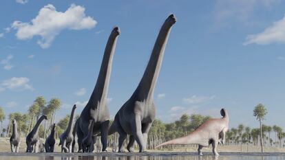 An artistic reconstruction of the passage of the group of sauropods and their interactions with other species that crossed their path.