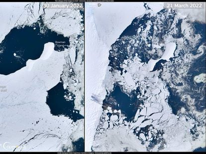 Left: an image of the 463 square-mile Conger Ice Shelf before its collapse. Right: after the collapse of the shelf.