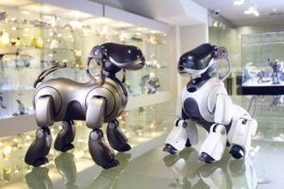 Two of The Robot Museum’s 50 robotic dogs.