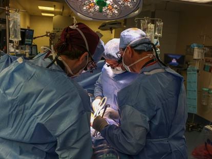 Surgeons perform the transplant at Massachusetts General Hospital in Boston on March 16.