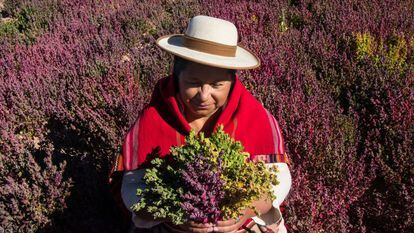 Bolivian agronomist Trigidia Jiménez.