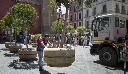 Seville city workers placing planters in areas popular with tourists.