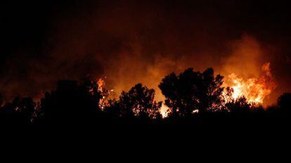 Fire broke out overnight in a forest near Gilet in the province of Valencia.