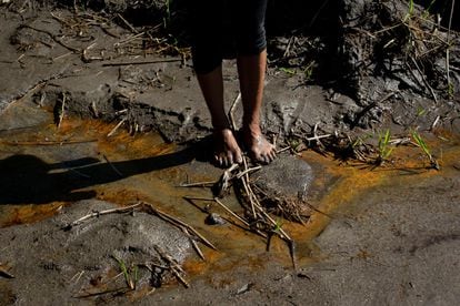 Monitoring of the oil spill along the River Coca, in Ecuador.