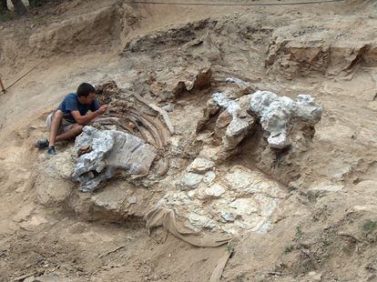 General view of the Sant Antoni de la Vespa site during the extraction of one of the 'Garumbatitan' specimens.