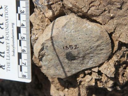 This photo provided by the Homa Peninsula Paleoanthropology Project shows an Oldowan flake at the Nyayanga site in southwestern Kenya in 2017.