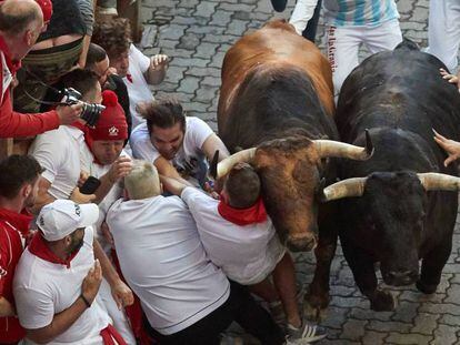 Day five of the Running of the Bulls.