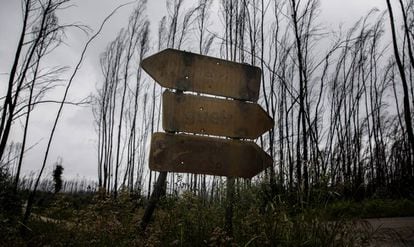 Signs singed by the 2017 wildfires in Portugal.