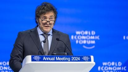 Argentine President Javier Milei during his speech at the Davos Economic Forum on Wednesday, January 17.