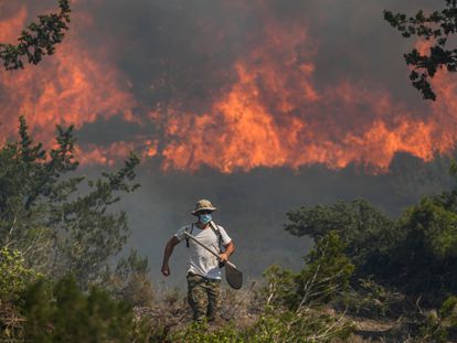 Flames burn a forest in Vati village, on the Aegean Sea island of Rhodes, southeastern Greece, on Tuesday, July 25, 2023.