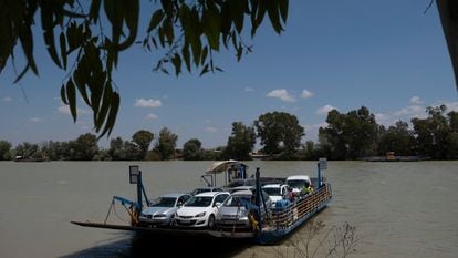 A barge crosses the Guadalquivir, in Coría del Río, one of the areas where the outbreak has been detected.