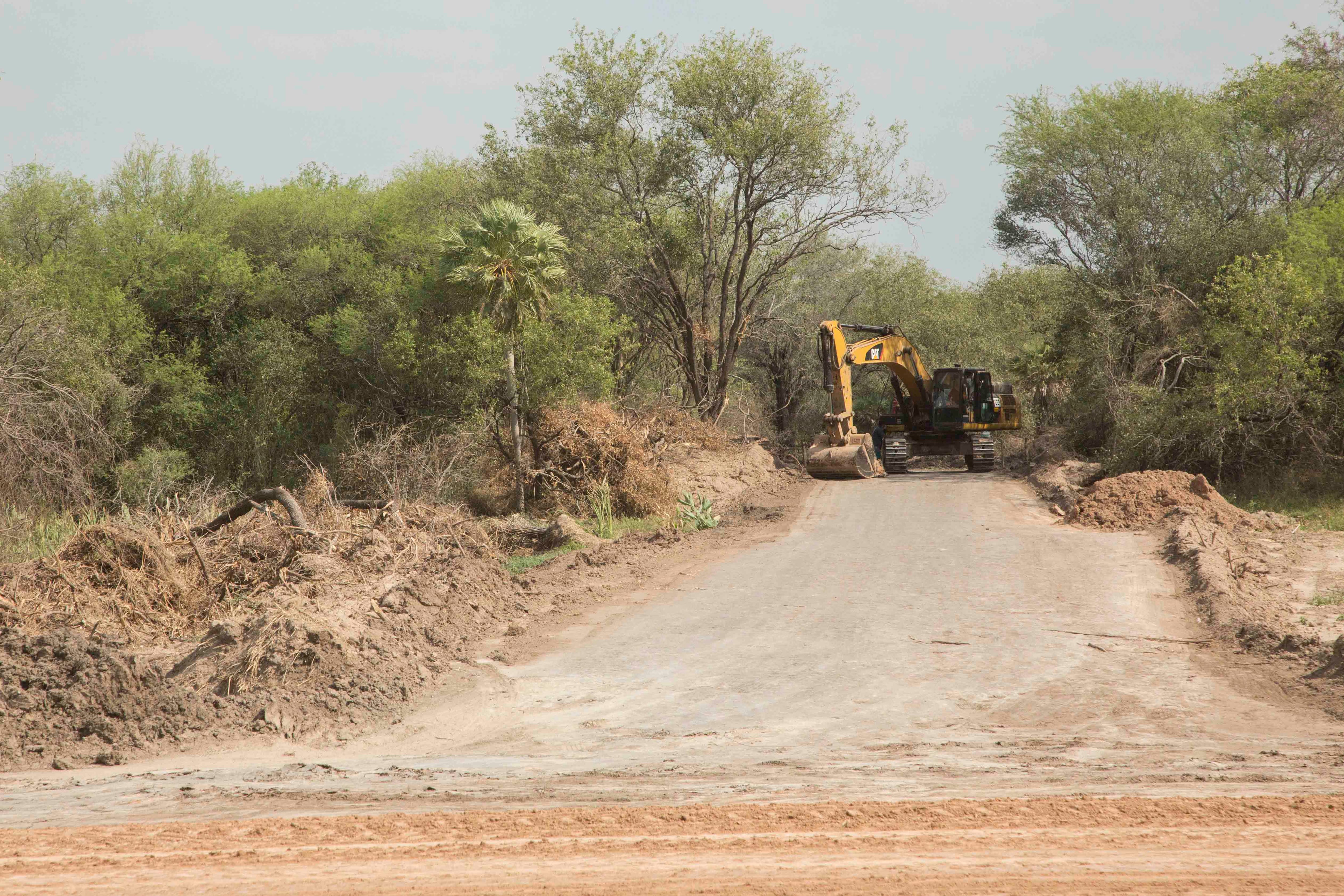 Deforestation in the Paraguayan Chaco.
