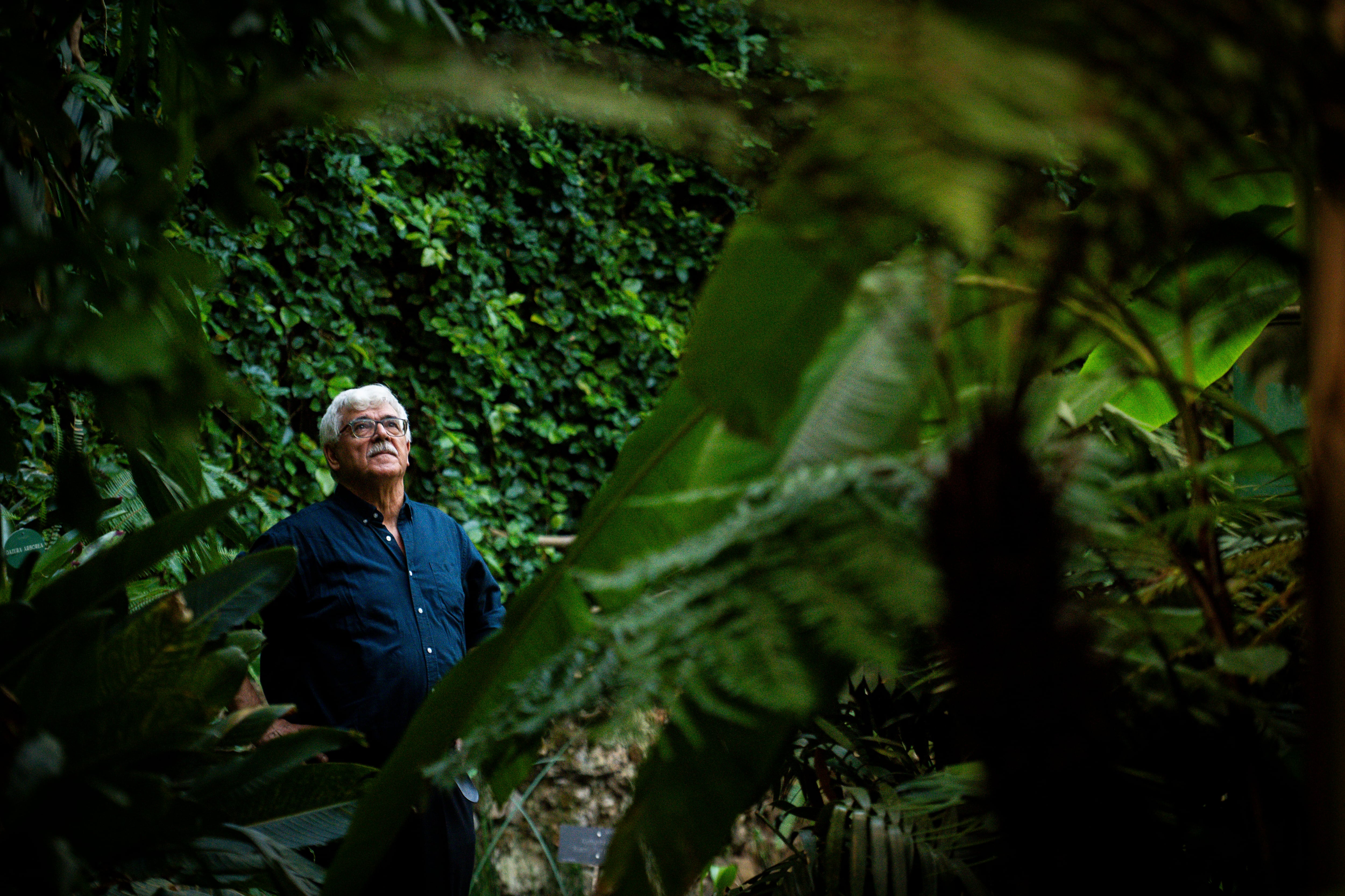 The botanist who took 30 years to name 18 trees: 'It is a race against myself'