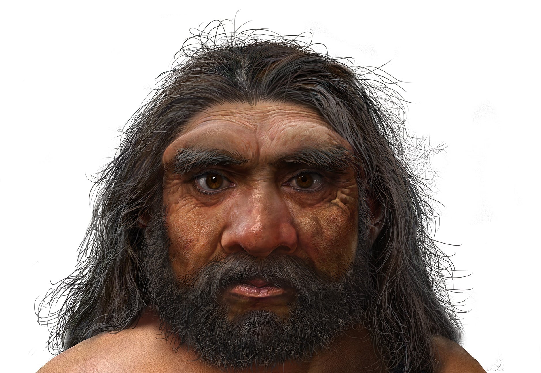 A reconstruction of 'Homo longi,' or the dragon man.