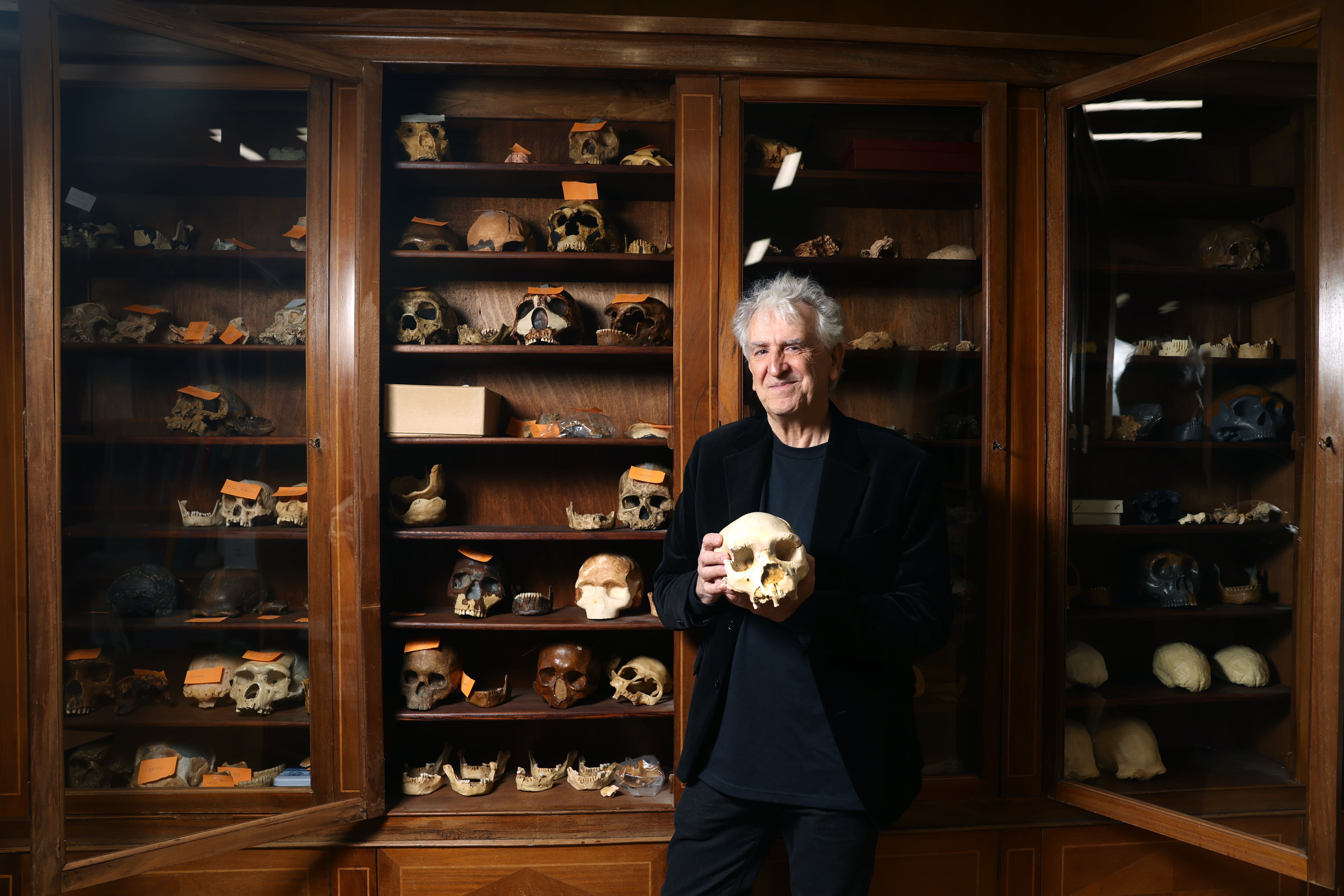Juan Luis Arsuaga holds a reproduction of the 'Miguelón' skull found in the Sima de los Huesos of Atapuerca, at the Carlos III Health Institute in Madrid.