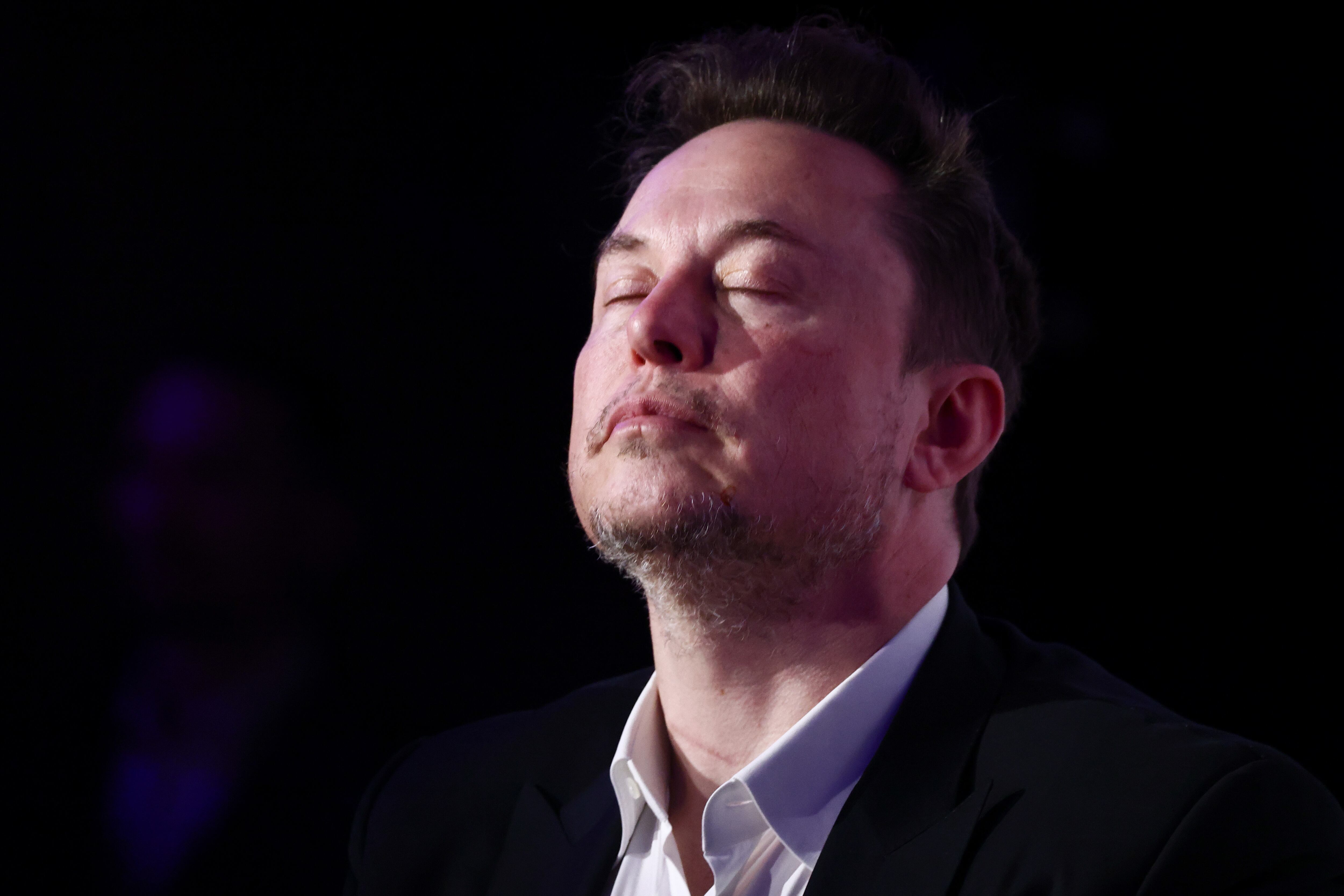 Elon Musk, unelected president and agent of chaos