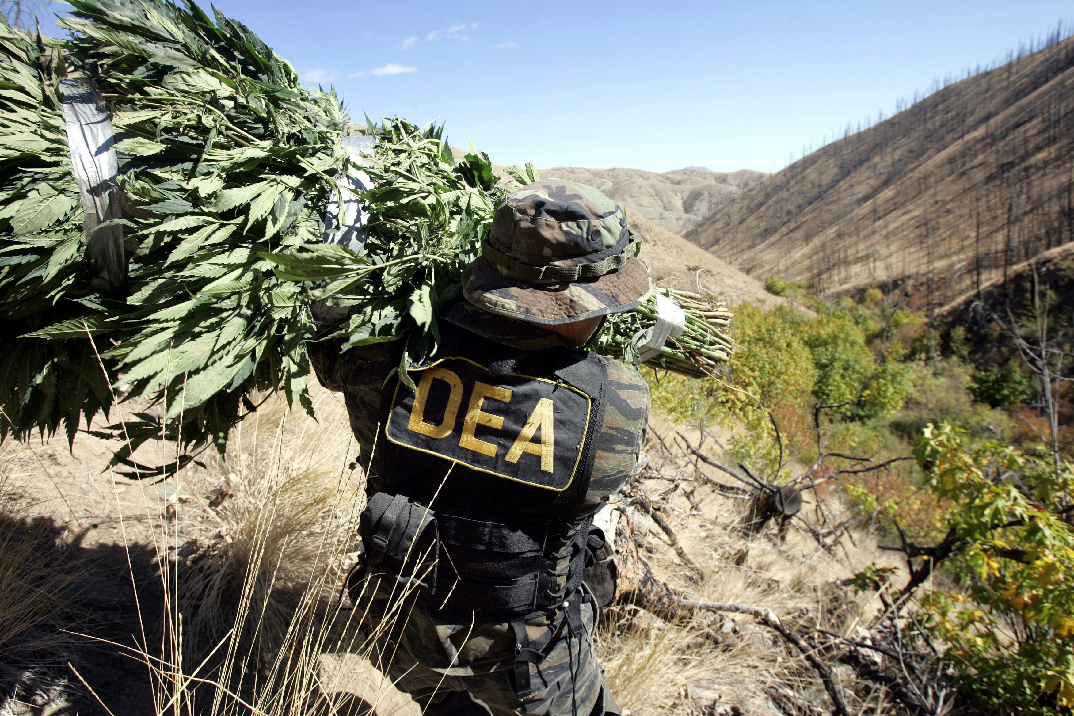 The DEA says Jalisco New Generation Cartel spied on its agents in the United States