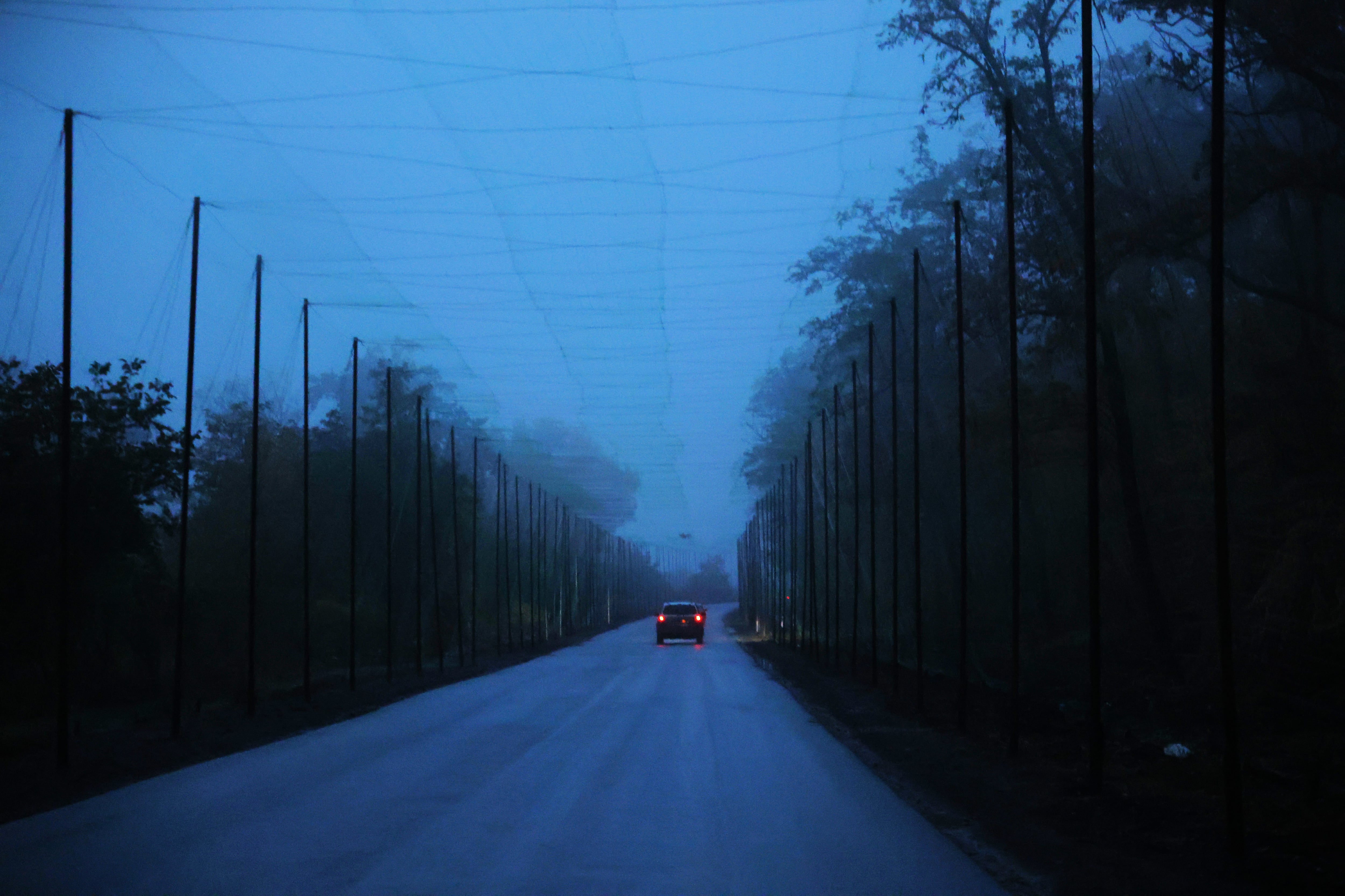 A vehicle on a road with anti-drone protection between the eastern regions of Donetsk and Kharkiv.