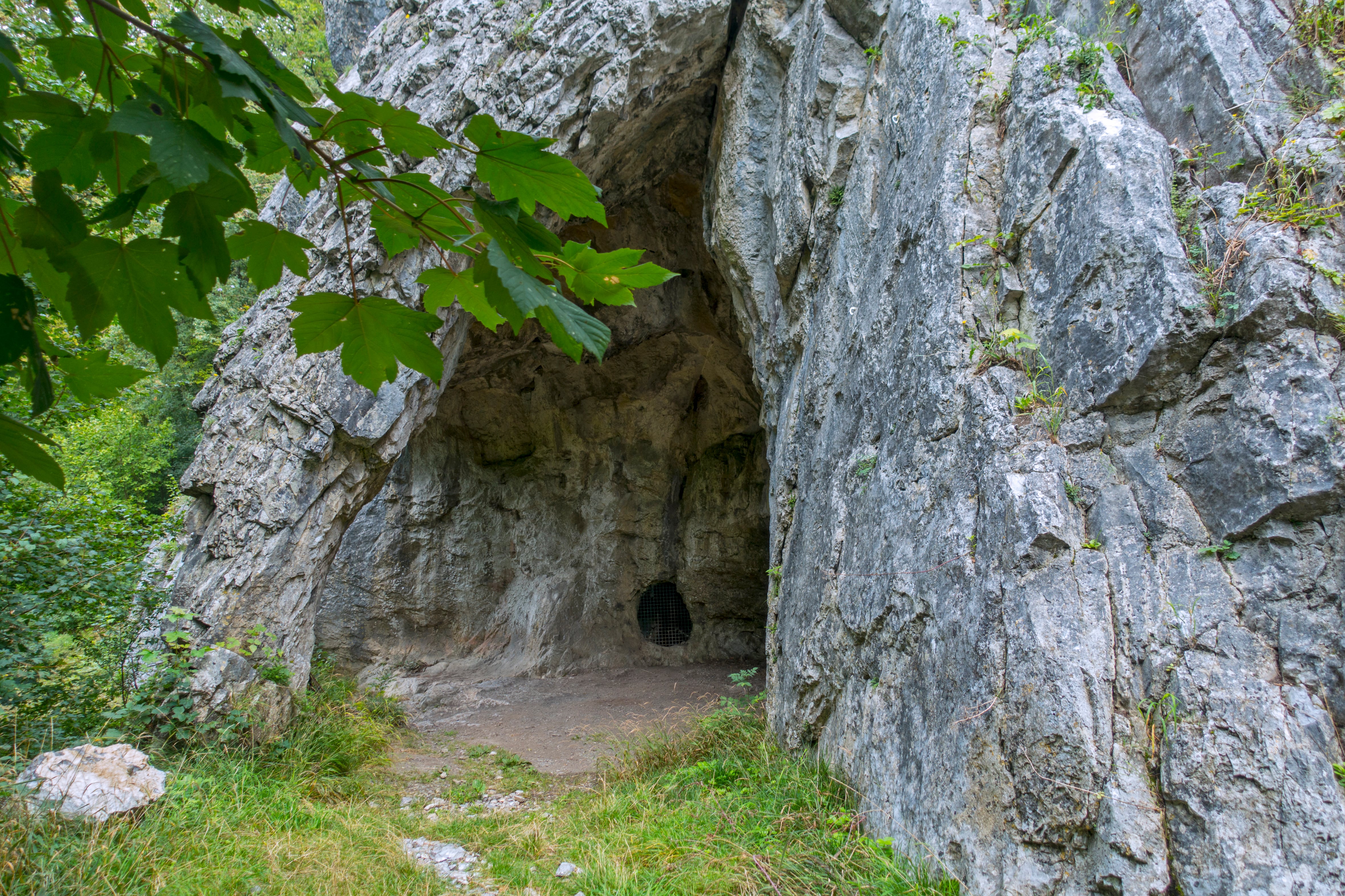 New DNA study of Neanderthals bolsters suspicions of human-driven extinction
