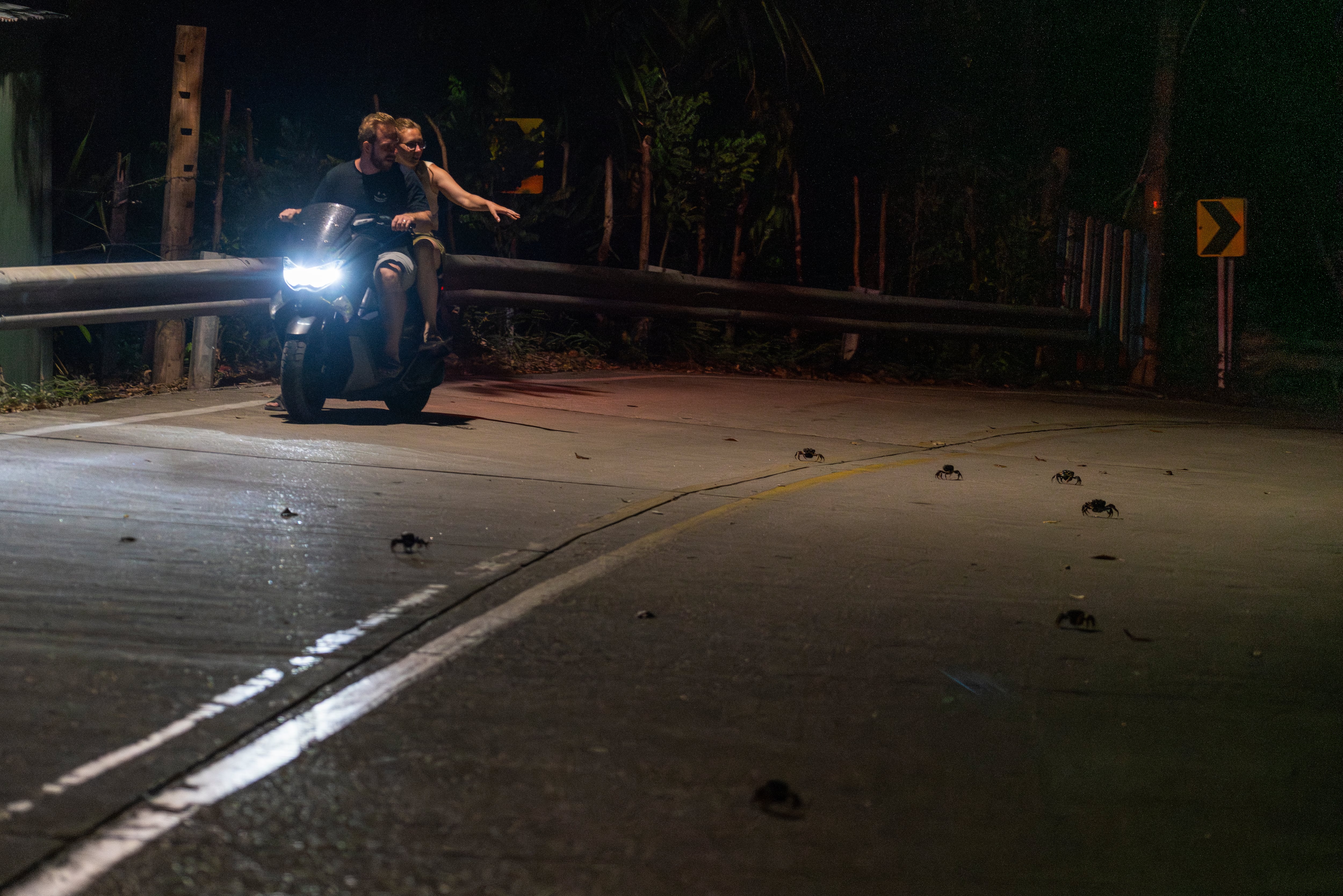 A couple of tourists watch the passage of black crabs during the nocturnal migration in Providencia.