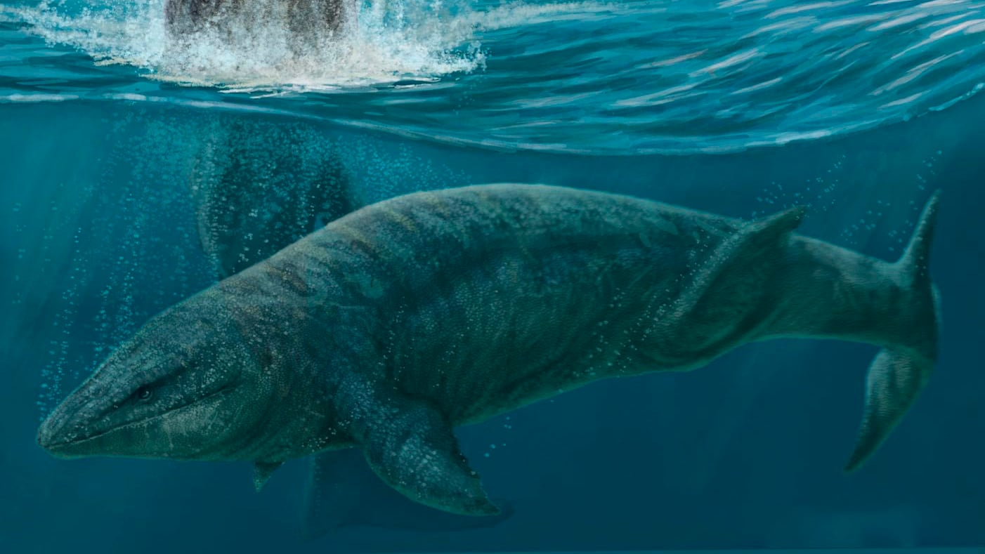 ‘Prognathodon cipactli,’ a sea monster from the age of the dinosaurs discovered in Mexico