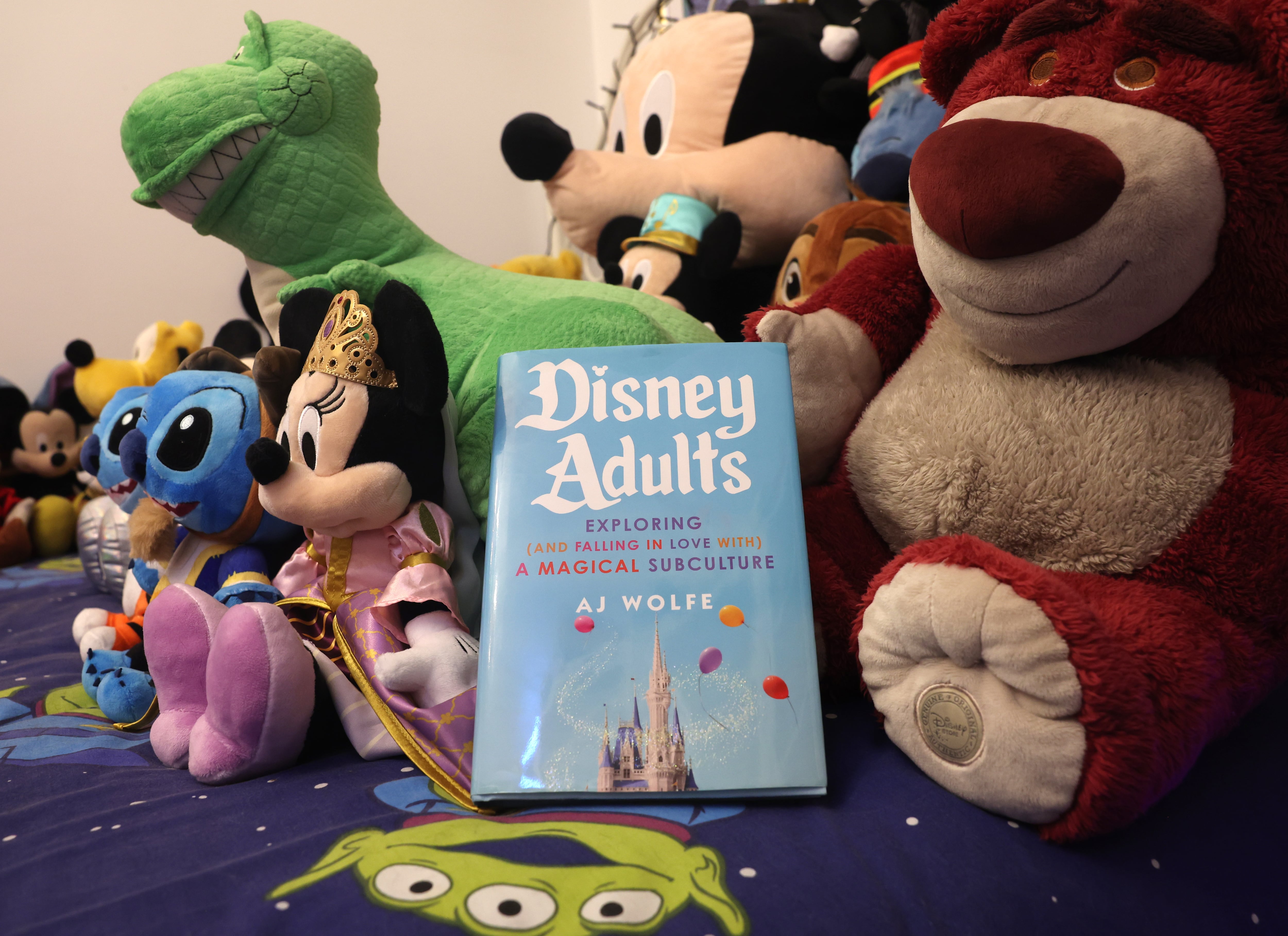 The book 'Disney Adults', by A. J. Wolfe.