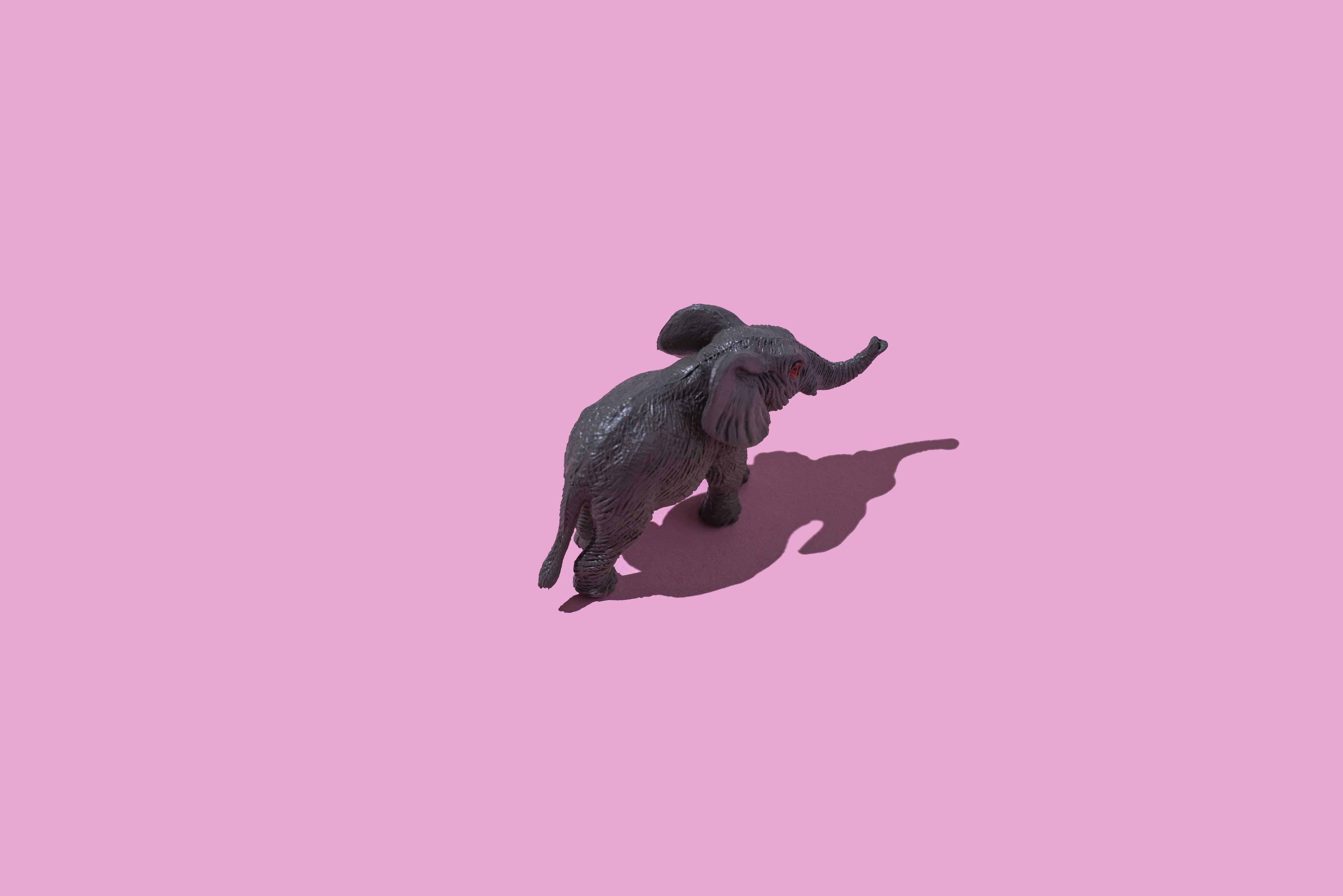 The pink elephant test: What your visual imagination predicts about your ability to control your thoughts