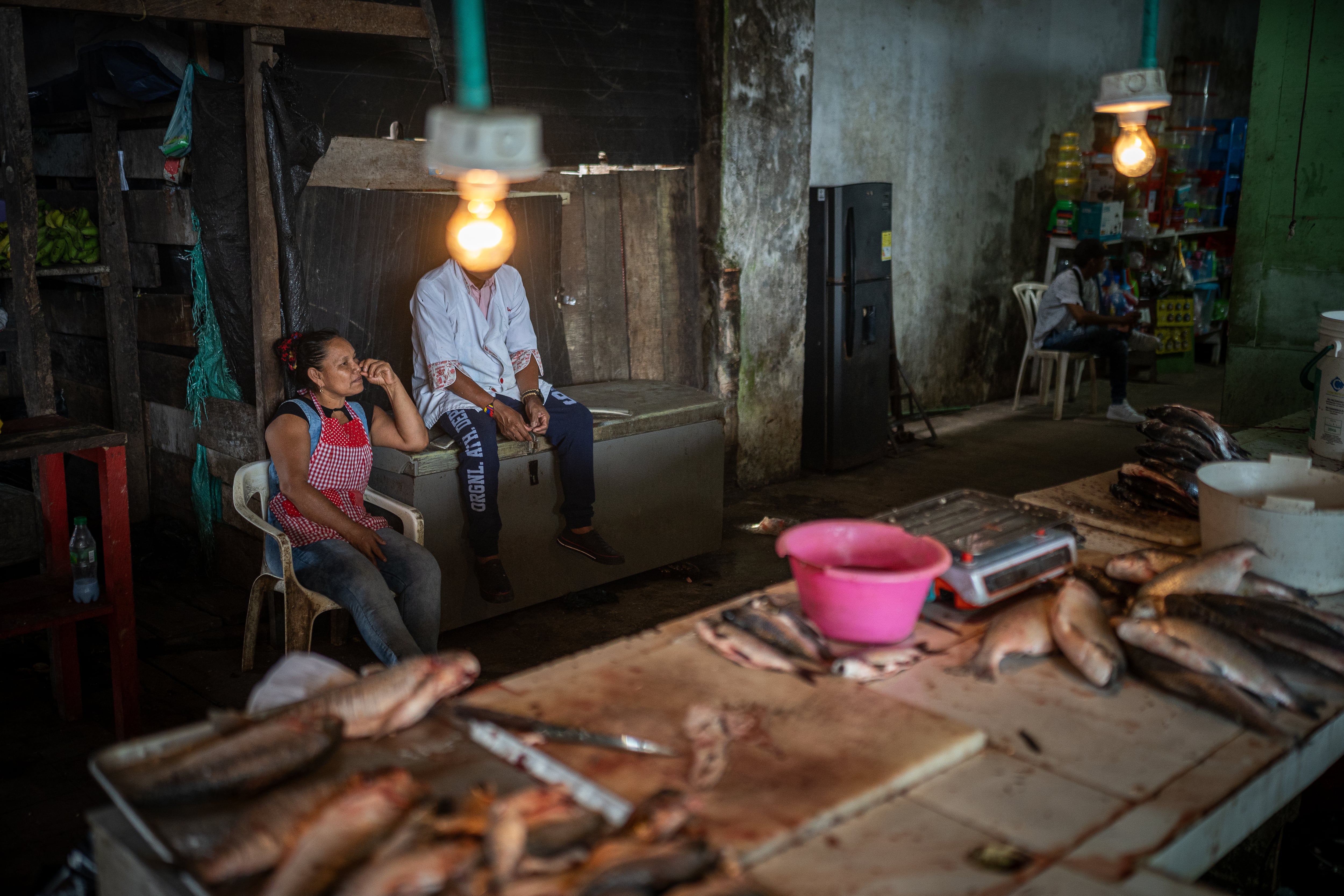 Fish for sale at the Leticia market square in Amazonas (Colombia).