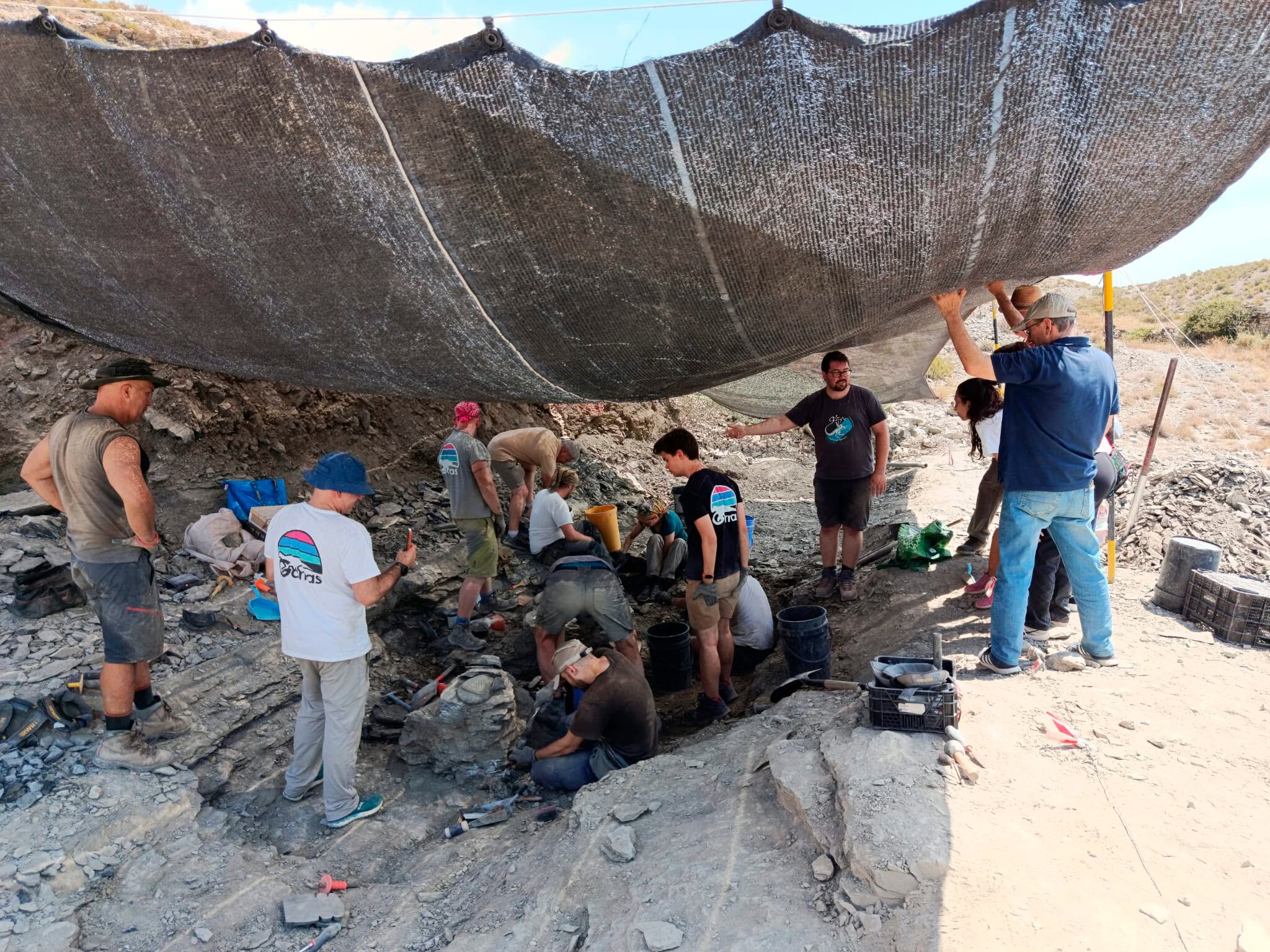 On the trail of a new dinosaur species in Spain’s premier wine region