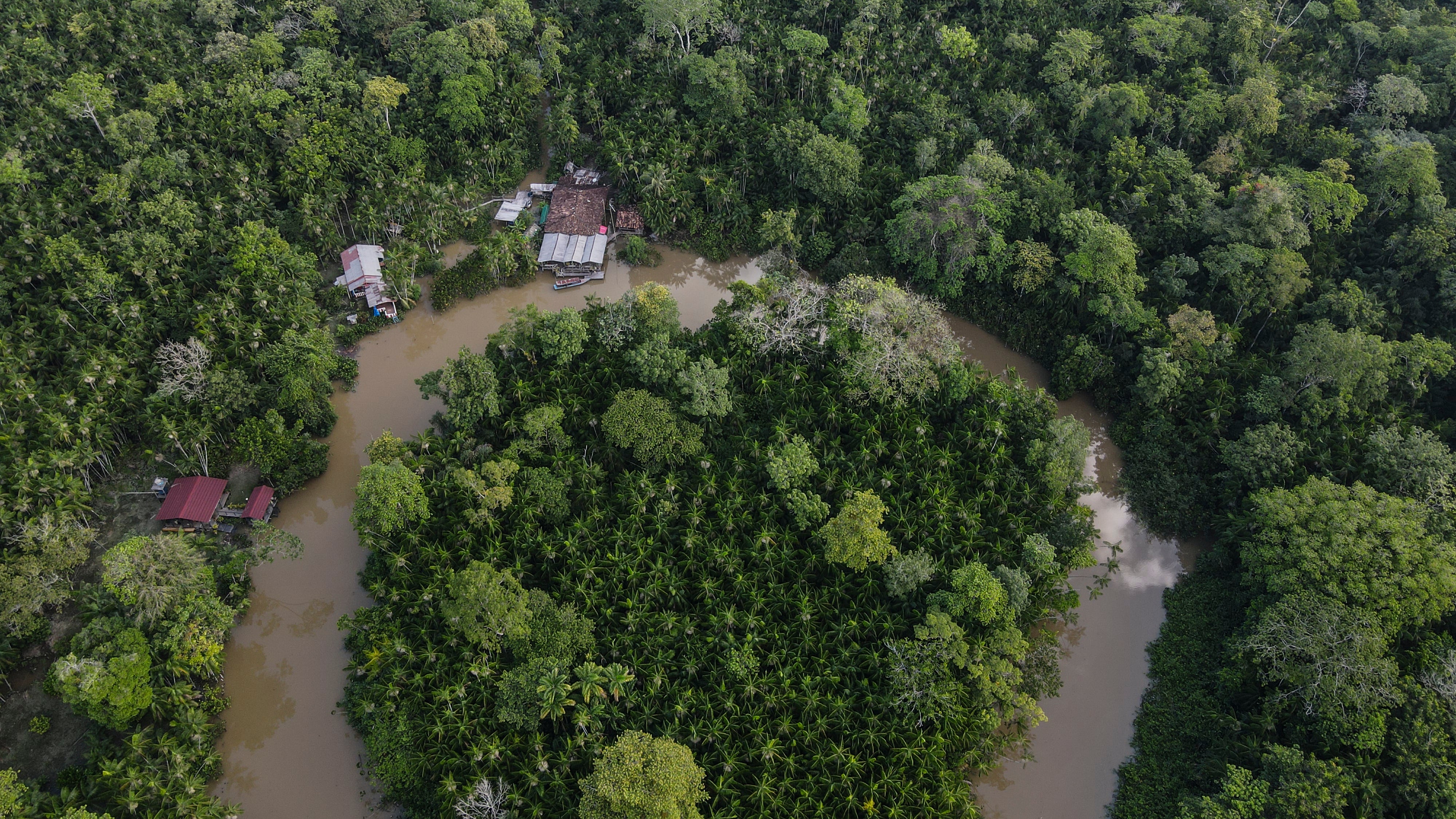 Aerial view of a part of the Amazon rainforest. The summit of the Amazon countries will be held in the city of Belém, to promote a new development model that will attempt to end the cycle of destruction.