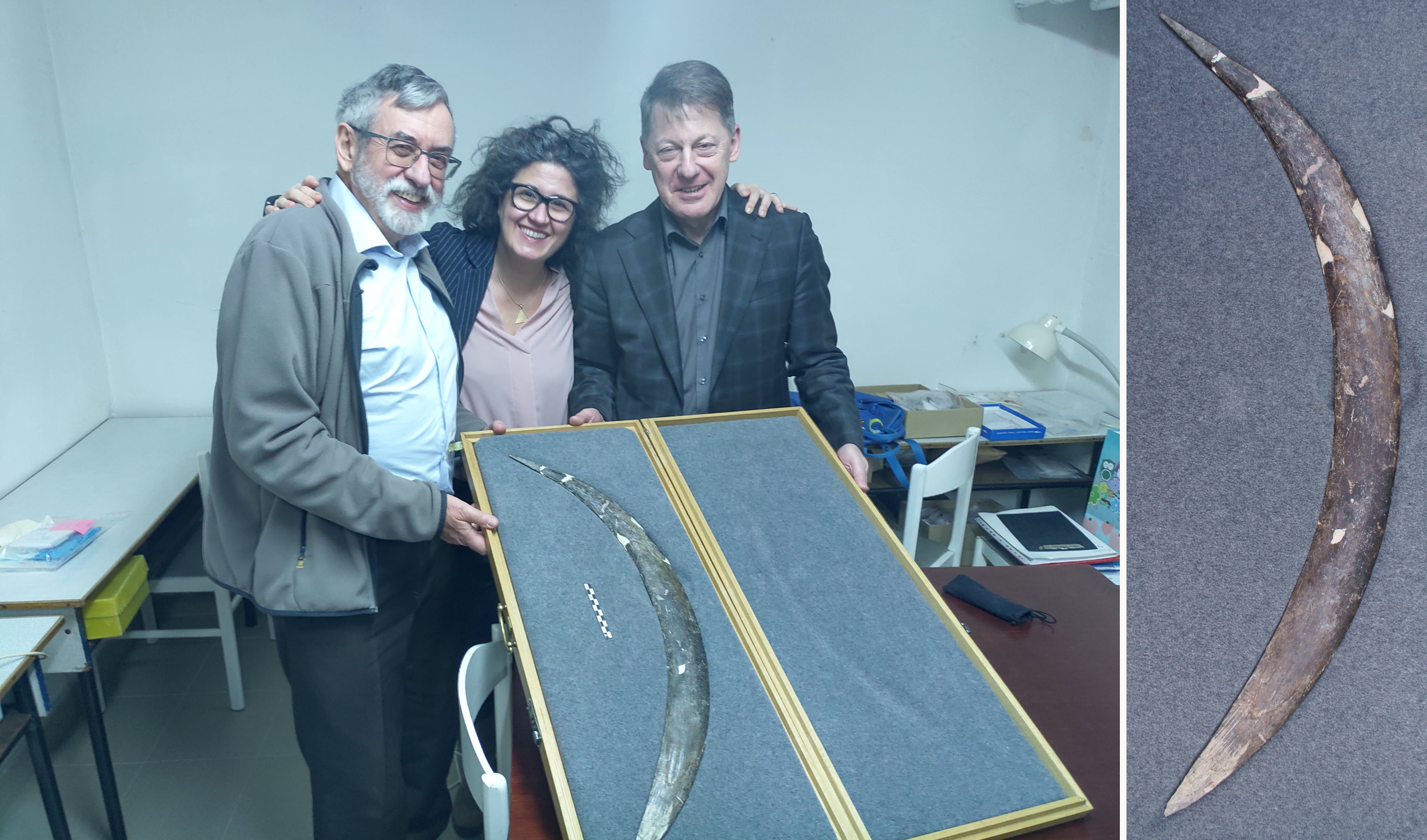 Boomerang carved from mammoth tusk shows ‘Homo sapiens’ had symbolic thinking 42,000 years ago