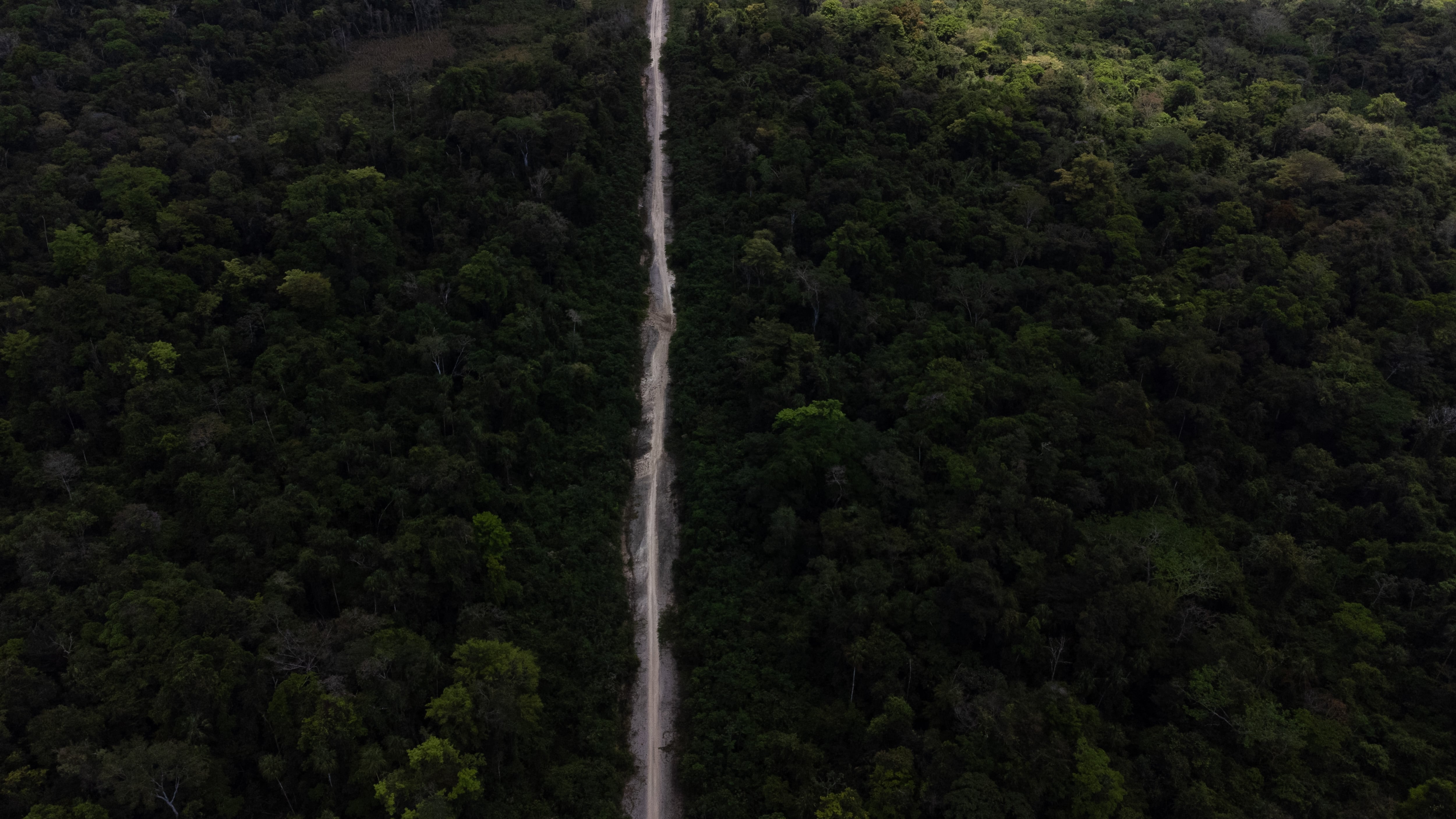 View of the old illegal light-plane runway used for drug trafficking in the Lacandon Jungle.