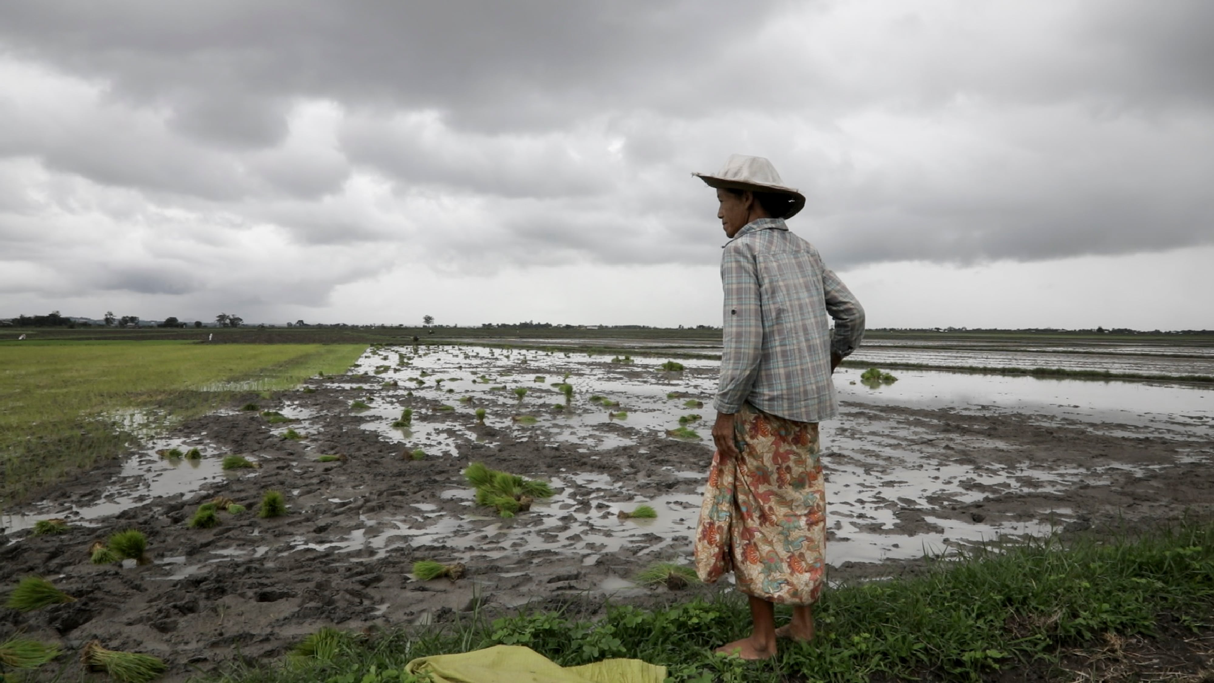 A woman works in the rice fields between Loikaw and Demoso, a few miles from the frontlines of the war, in June.