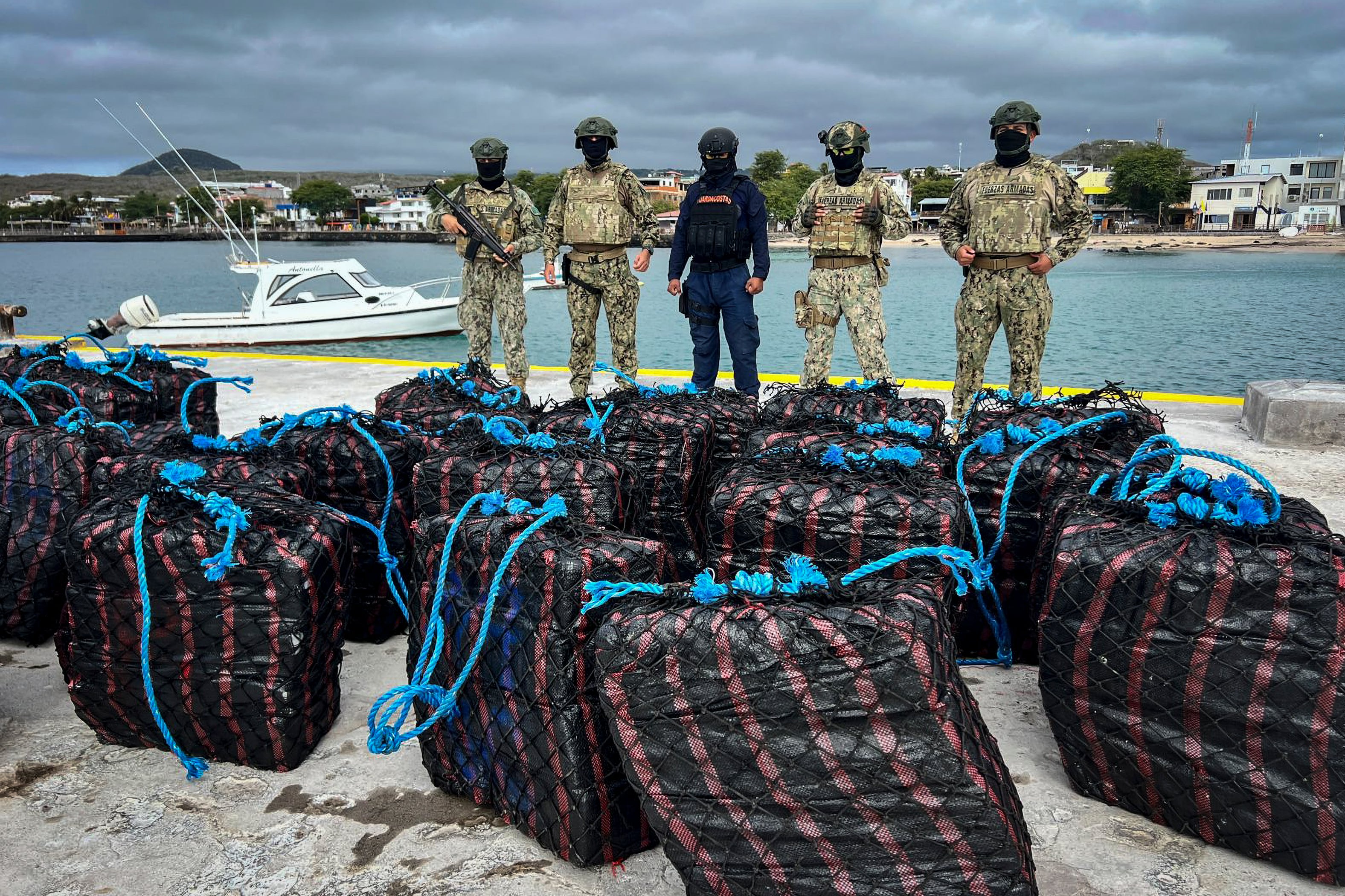 Sharks become easy prey for criminal groups