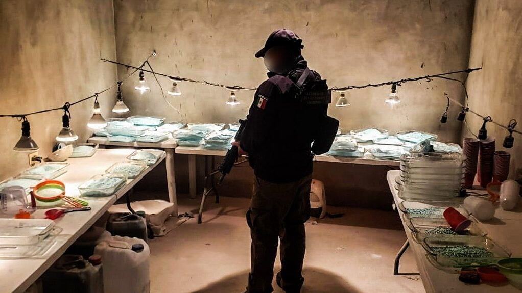 Fentanyl: The key to war and peace between the United States and Mexico