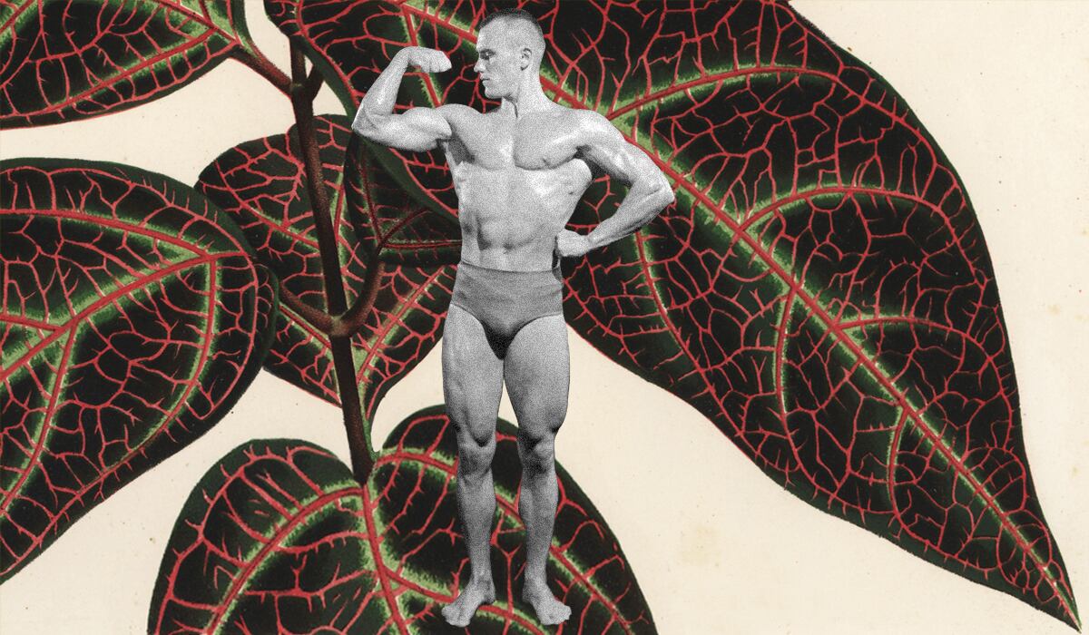 Can ayahuasca change a man? The rise of trips against misunderstood masculinity