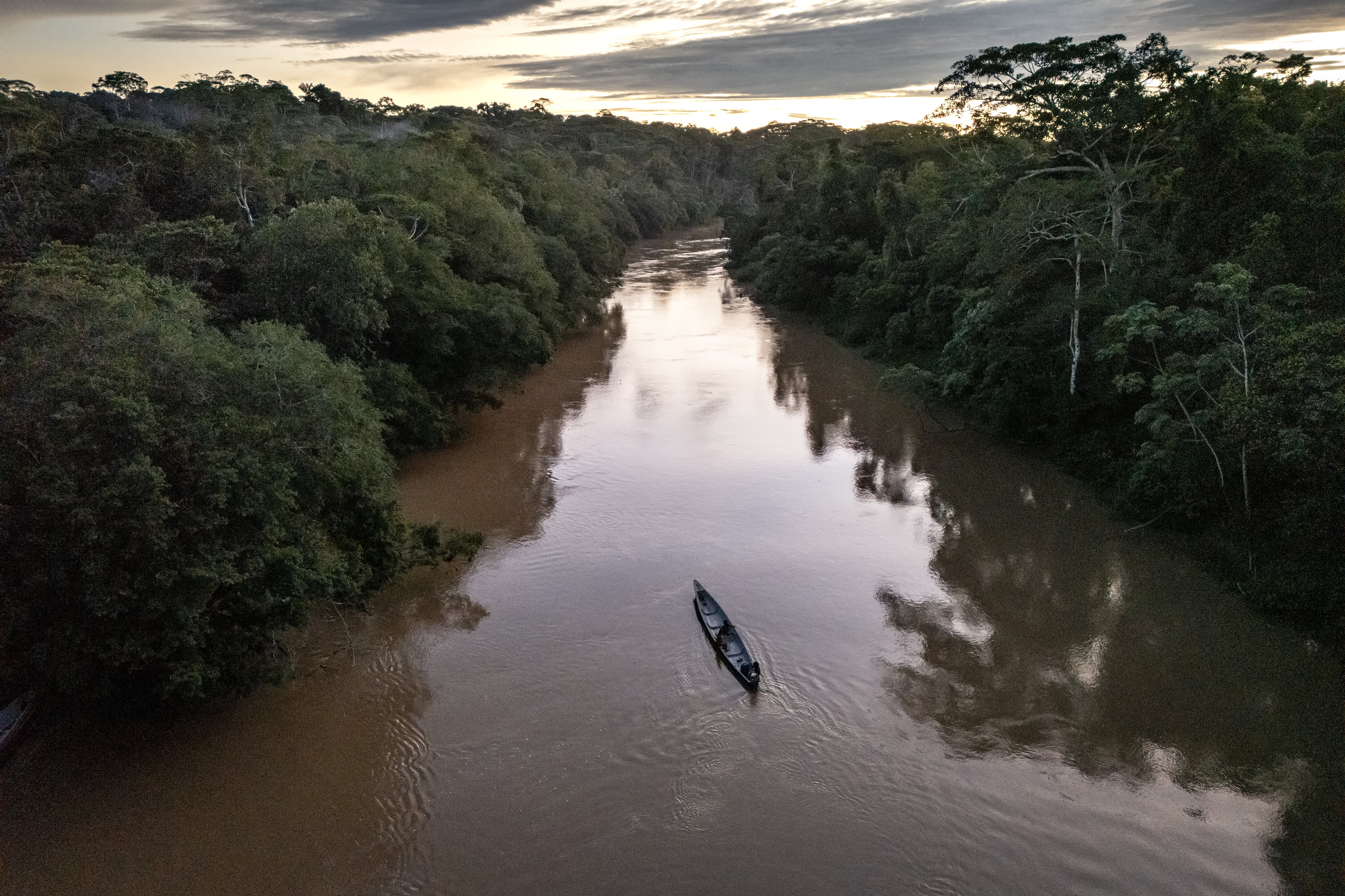 Illegal mining advances in the Amazon and corners park rangers in Ecuador