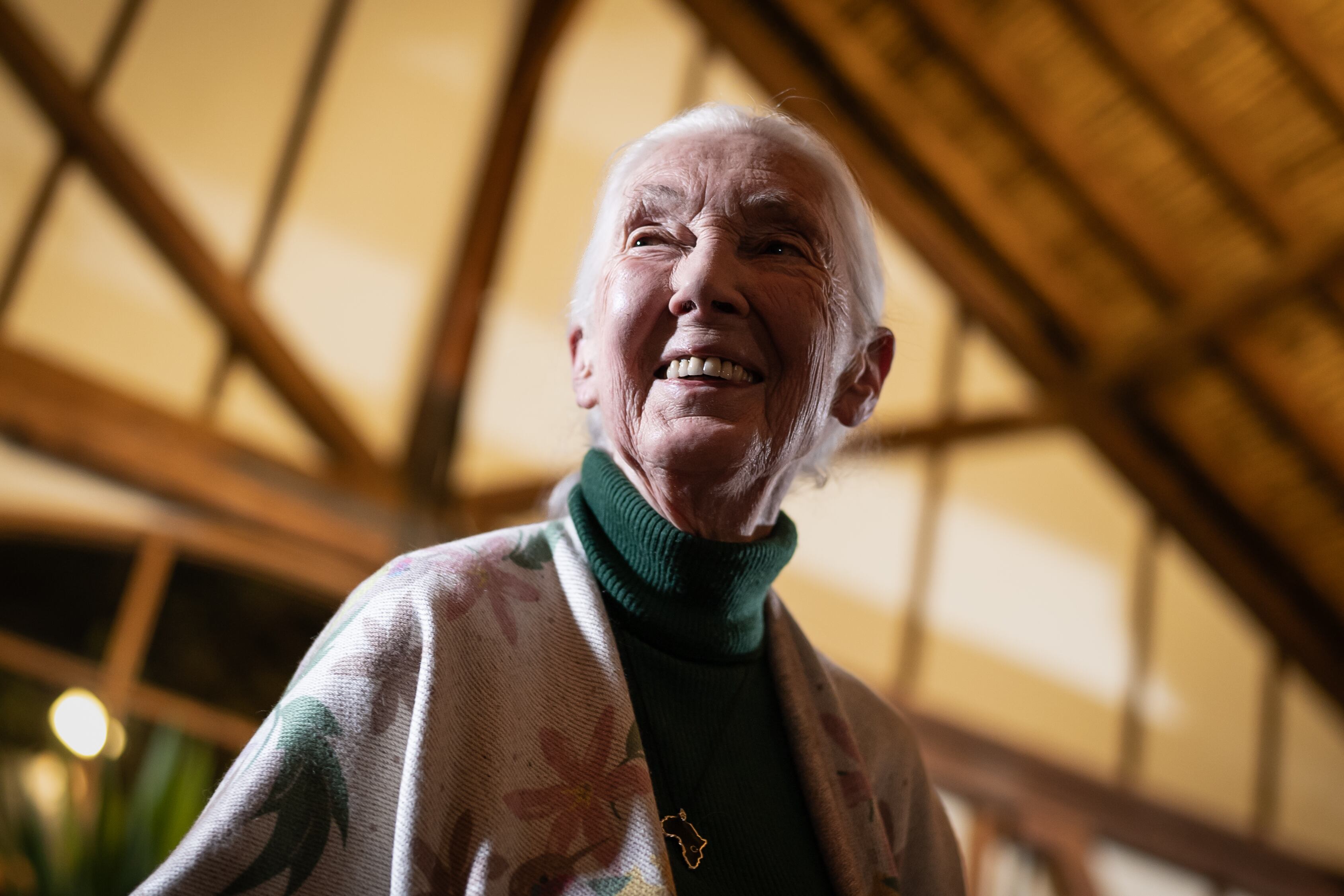 Ethologist Jane Goodall, in Medellín (Colombia), on August 22, 2024.