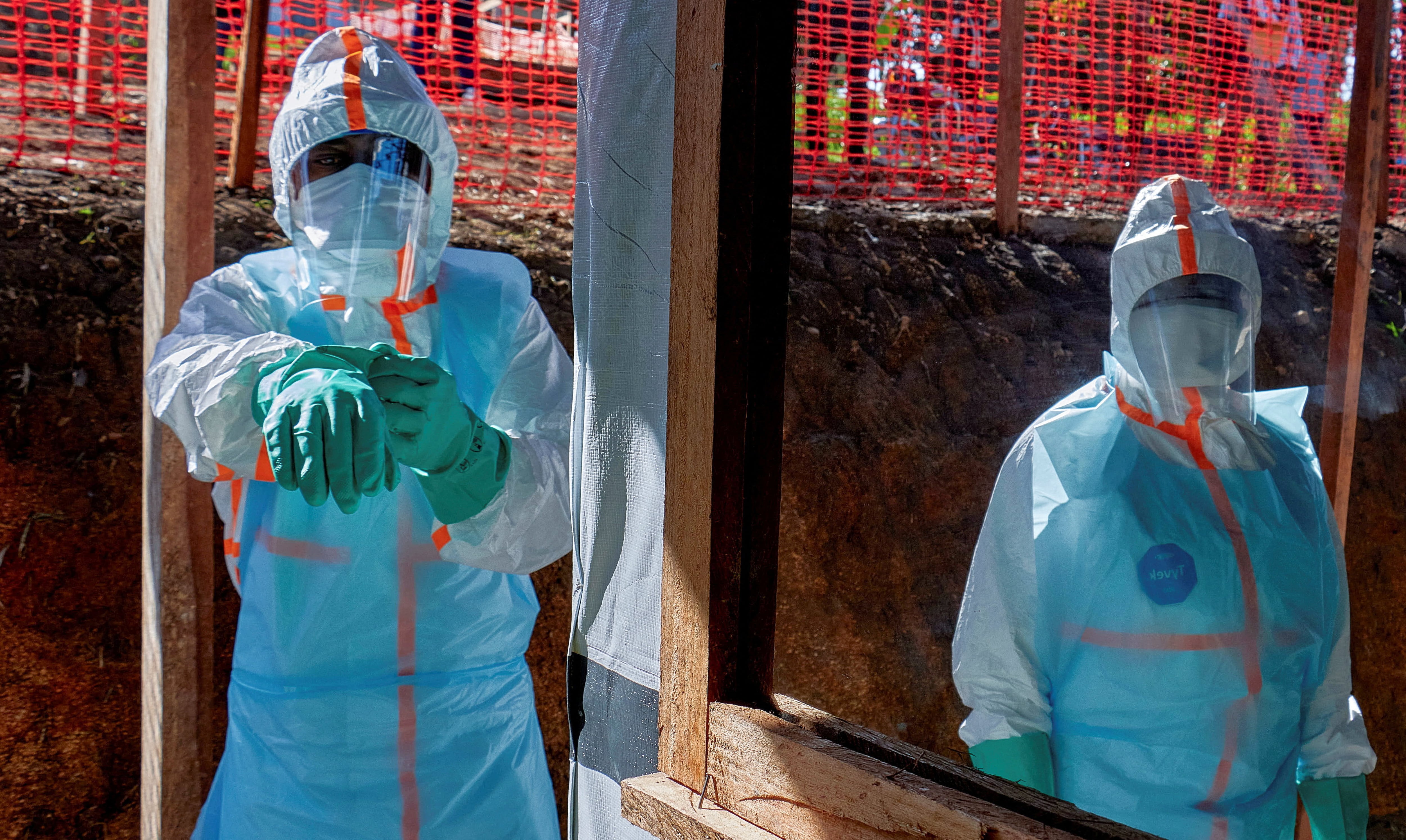 Pandemics that weren’t: How to nip an outbreak in the bud