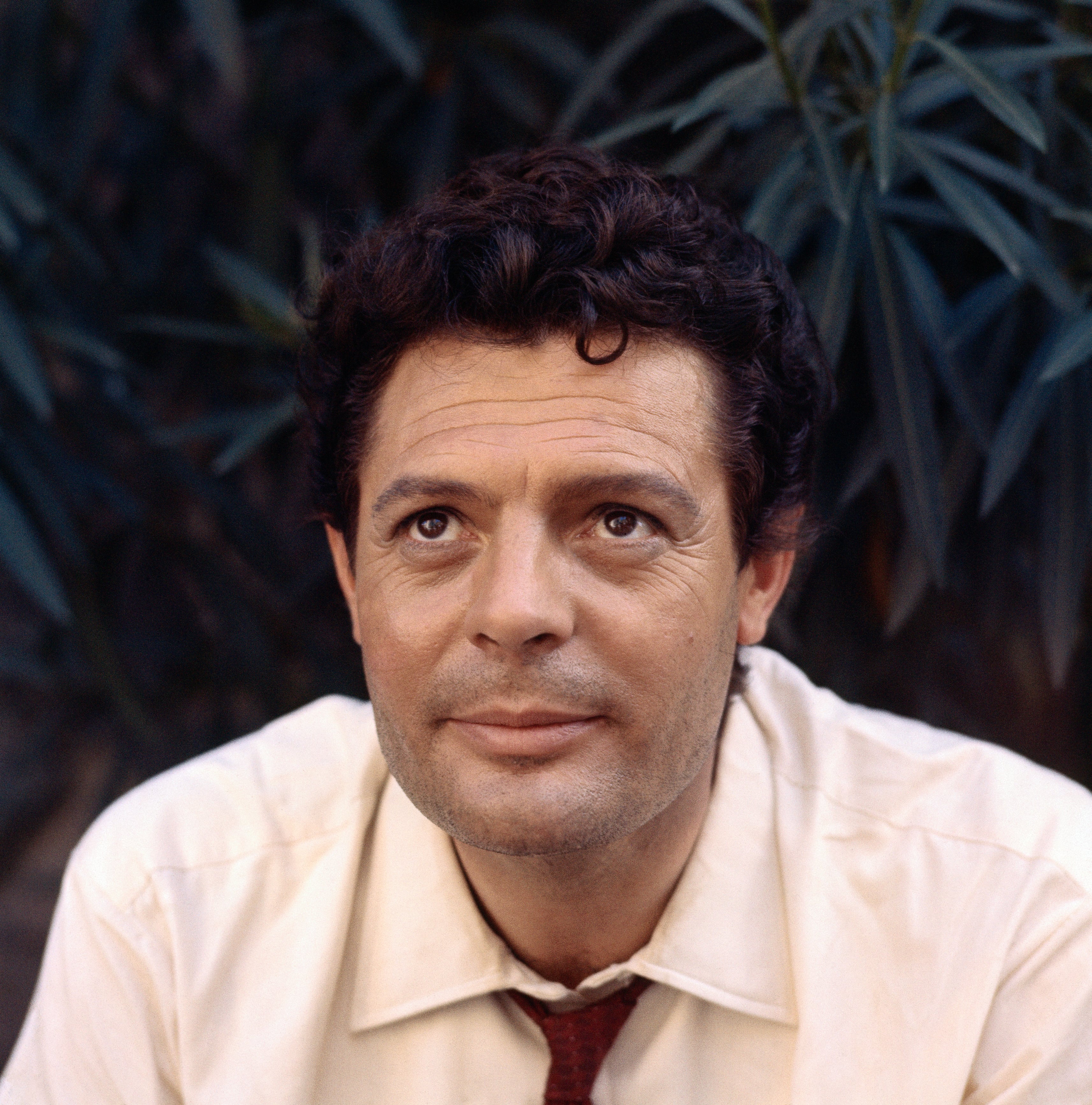 A portrait shot of Marcello Mastrioianni.