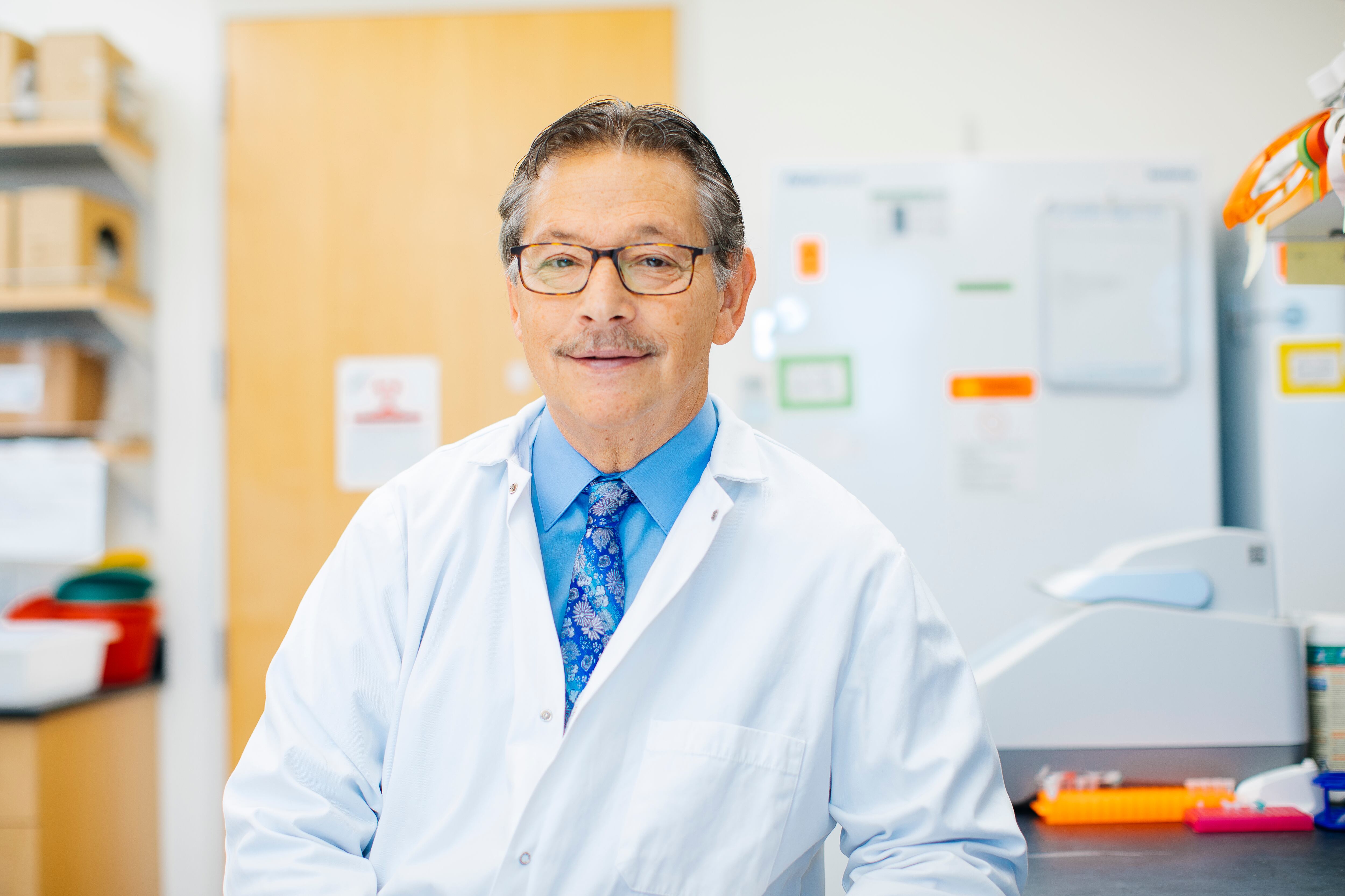 Doctor Donald Kohn in his lab at UCLA.