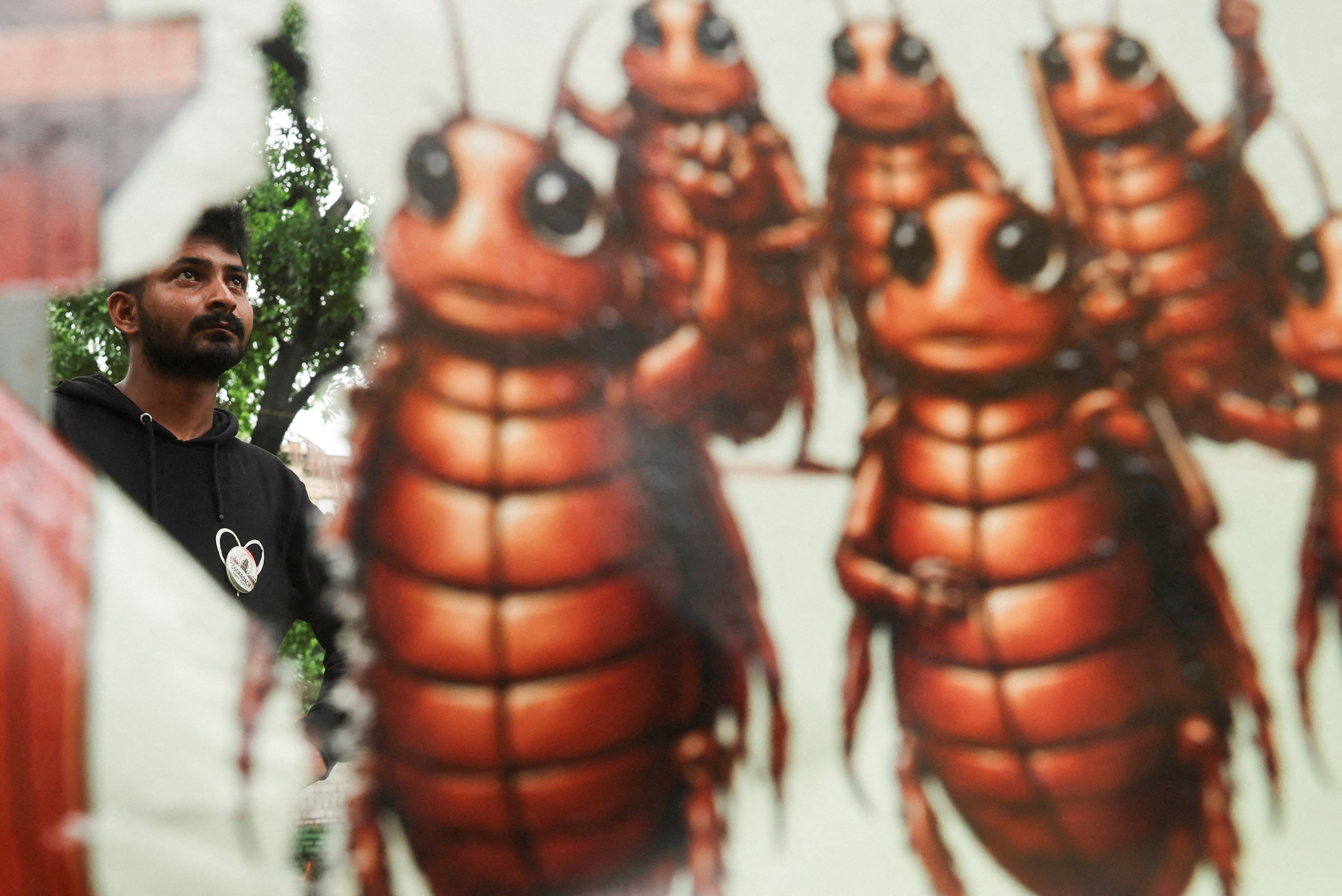 Who are the cockroaches behind the mass demonstrations in India, and what do they want? What began as a rhetorical question from an Indian university student has resulted in brutally-suppressed protests on the streets of New Delhi