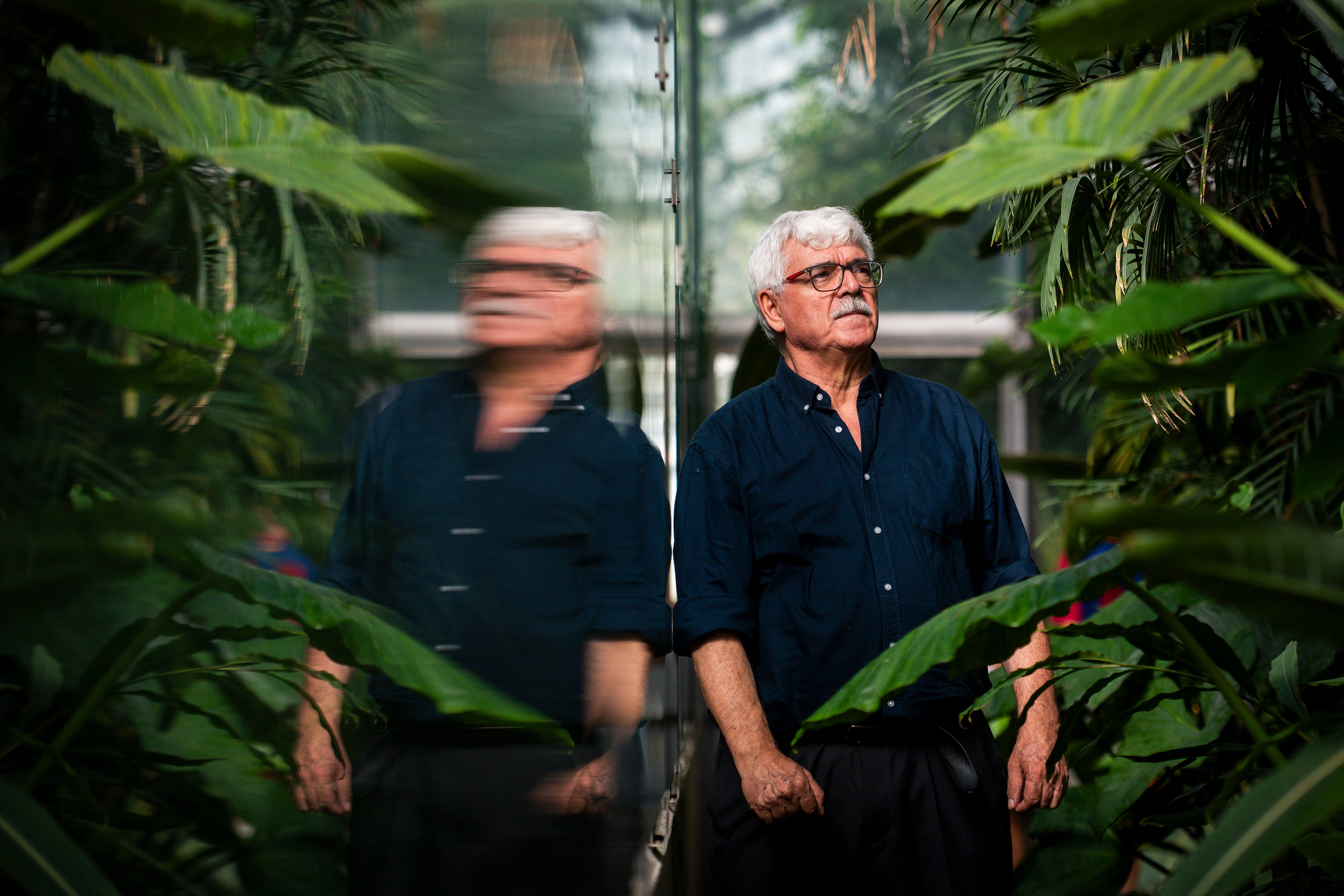 The botanist José Luis Fernández-Alonso in a greenhouse at the Royal Botanical Garden.