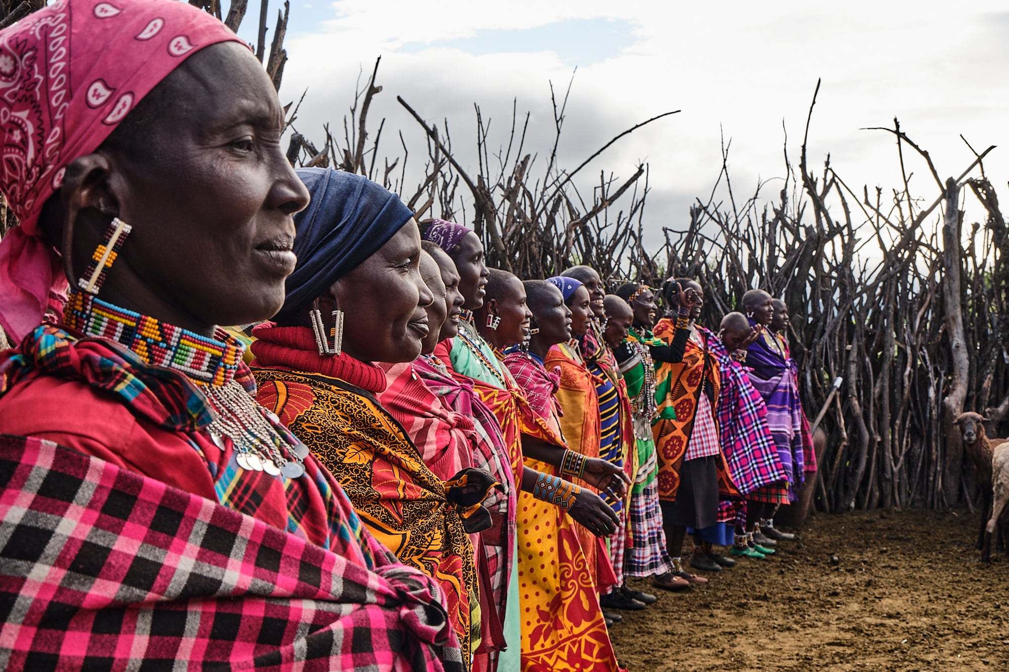 A group of Maasai women sing their thanks for the benefits they have gained from a project that allows them to own livestock. Picture taken on June 20 in the Longido region, Tanzania.