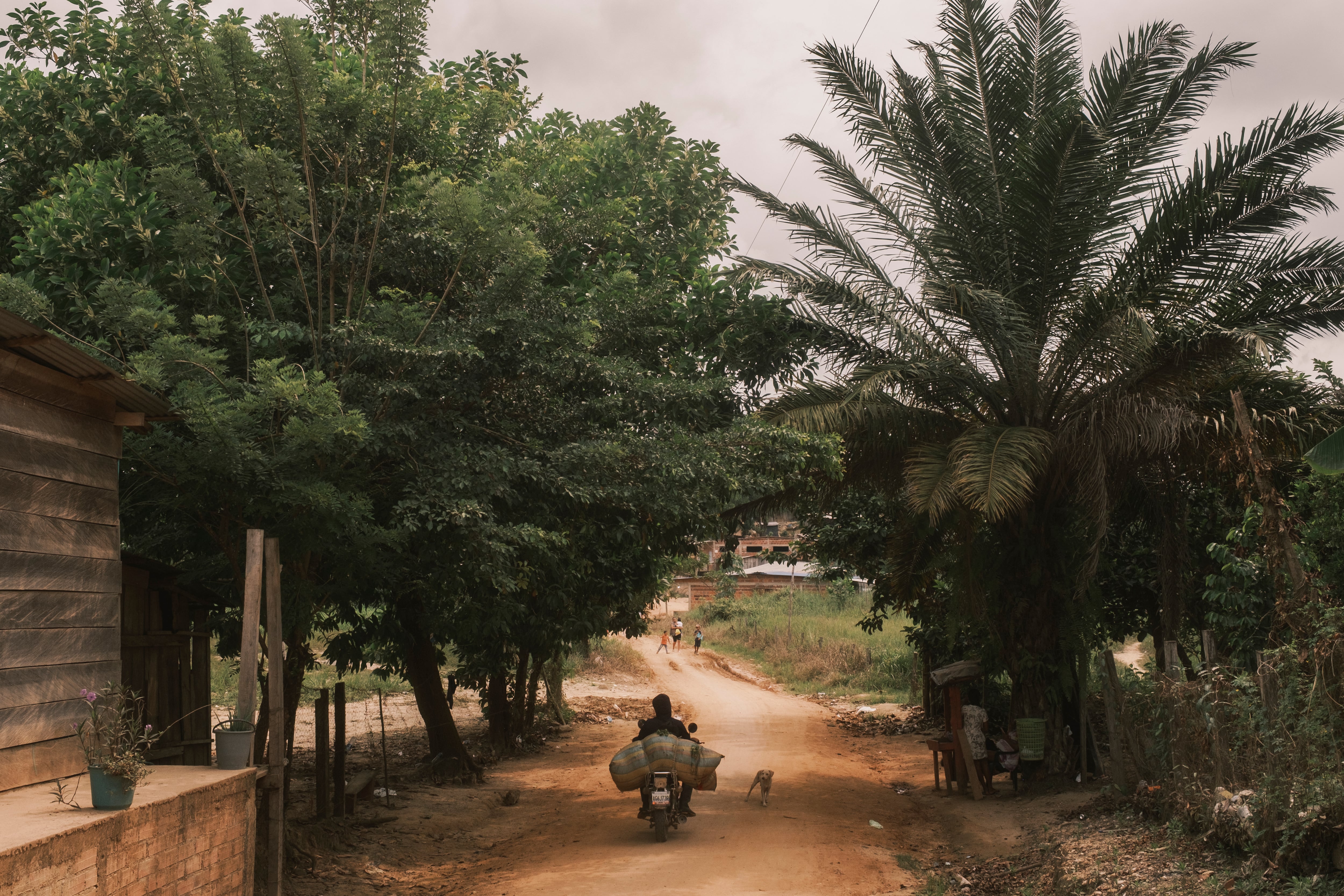 Catatumbo: In the heart of the war in Colombia