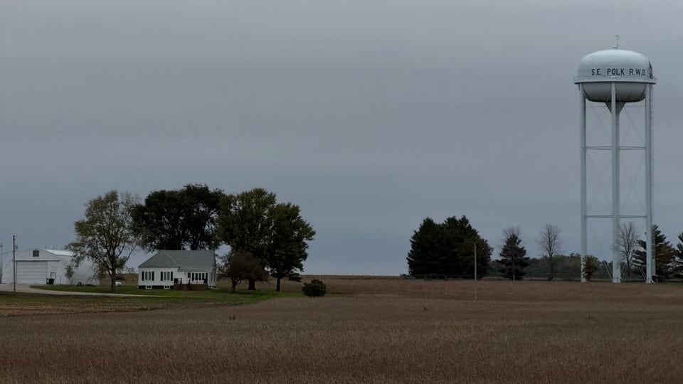 A cornfield near Cedar Rapid (Iowa).