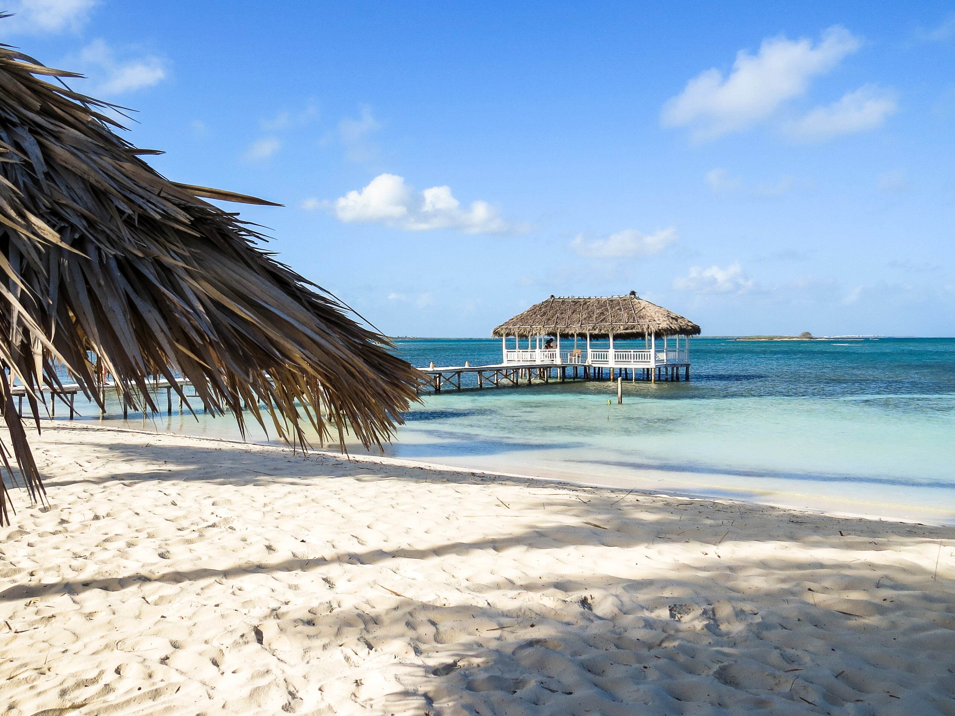 Cuban government open to the idea of an Arab investor to develop ‘Trump Island’