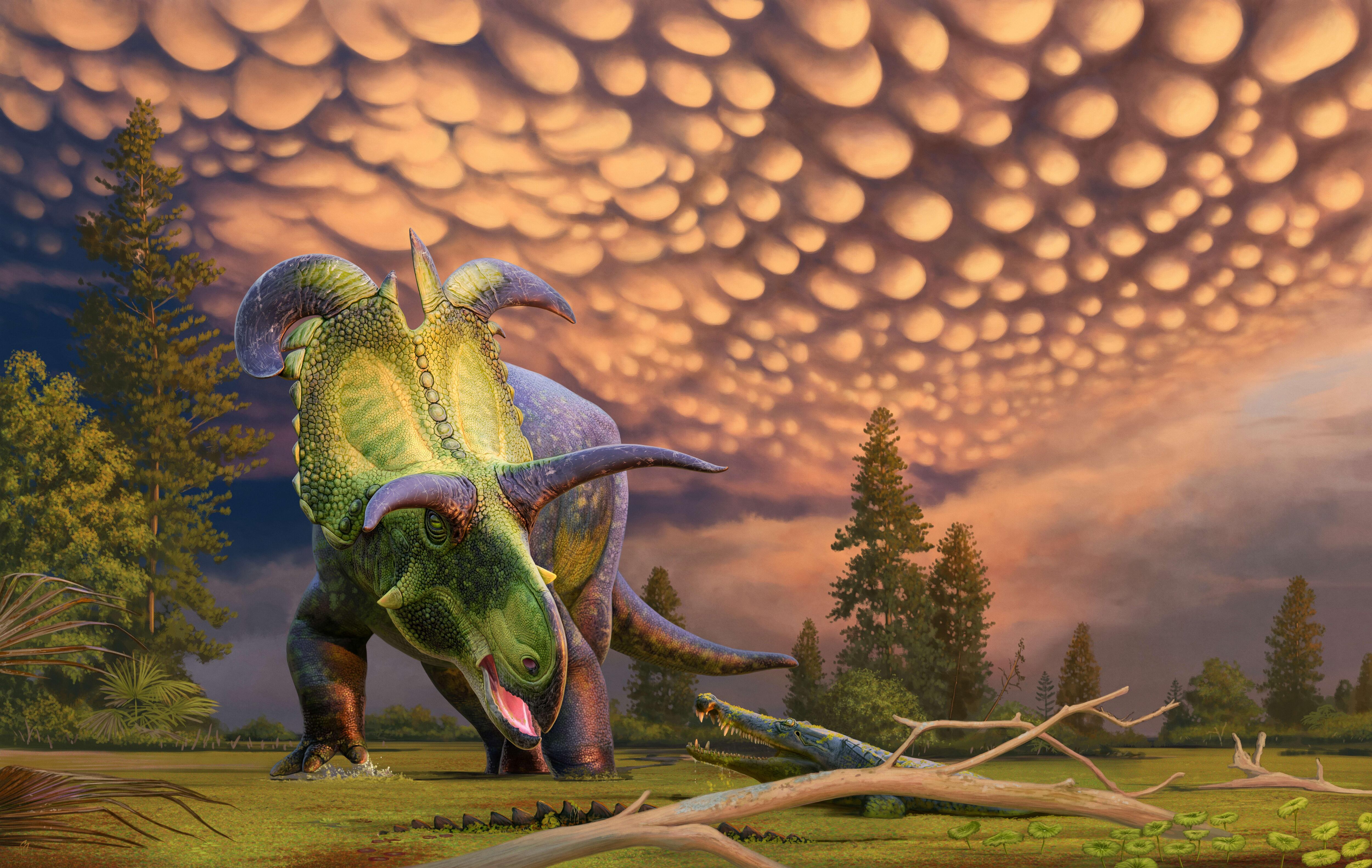 Meet ‘Loki,’ the new dinosaur with giant horns that dates back 78 million years