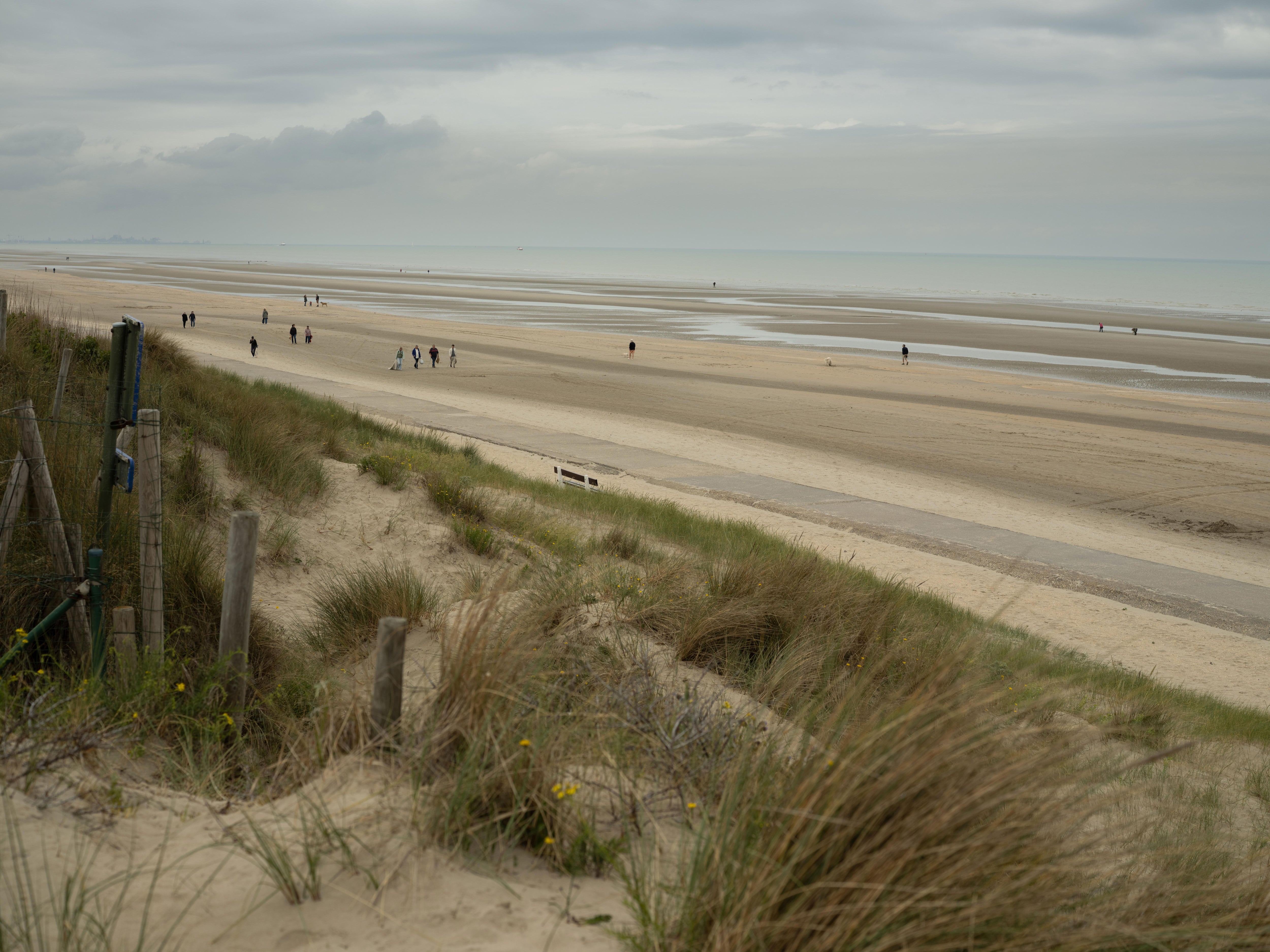 Barrier between the dunes and the beach in the Belgian town of De Panne, on June 8.